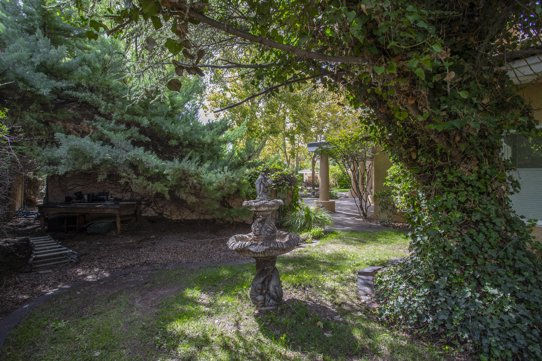 Photo 11 — 5808 Padre Roberto Road NW