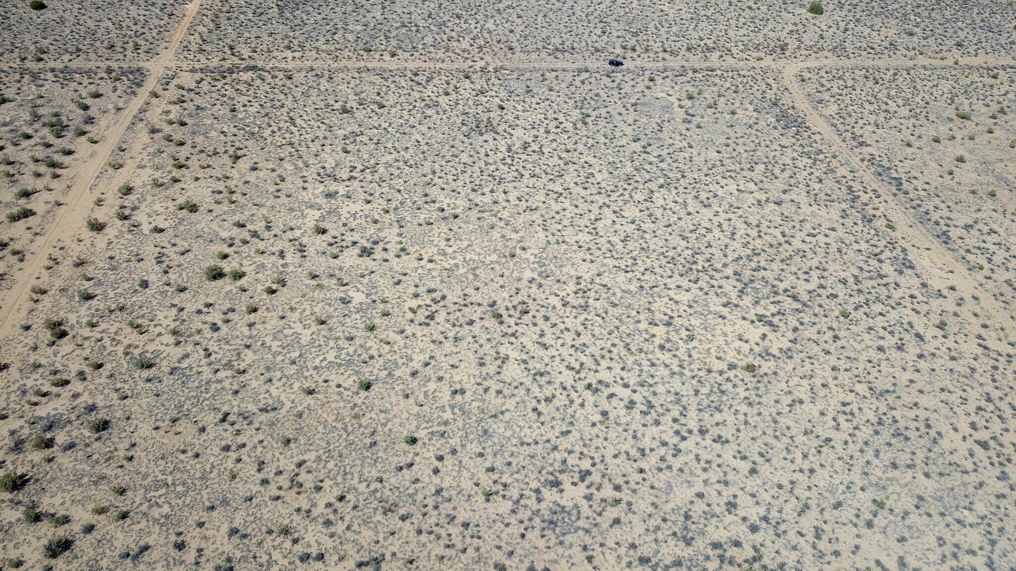 Photo 3 — 0 Yalta Court 25