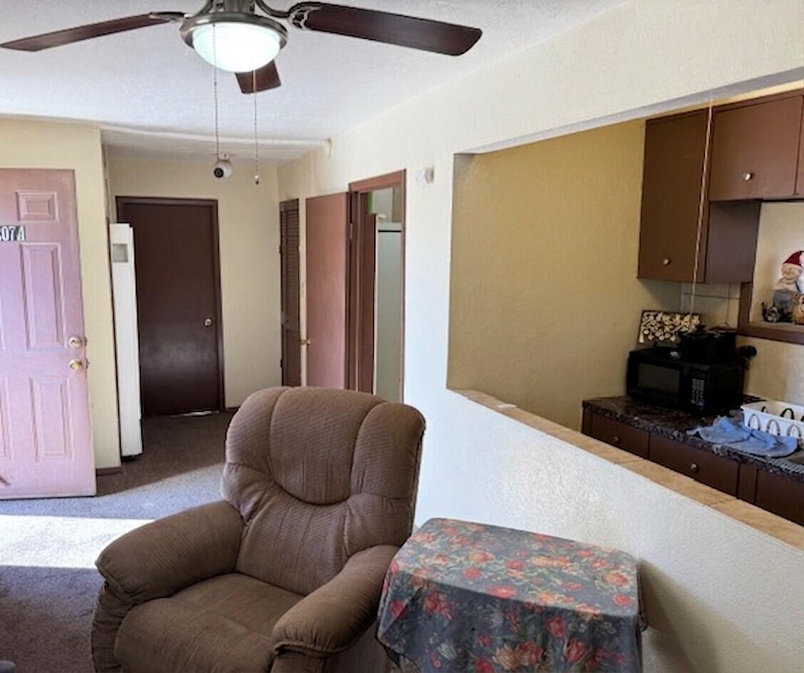 Photo 16 — 207 & 213 Mt Carmel Avenue