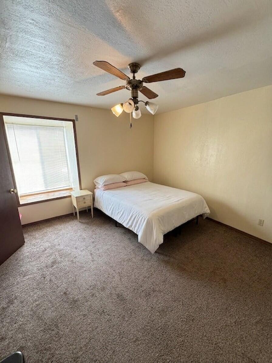 Photo 13 — 207 & 213 Mt Carmel Avenue