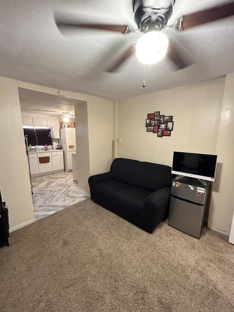 Photo 11 — 207 & 213 Mt Carmel Avenue