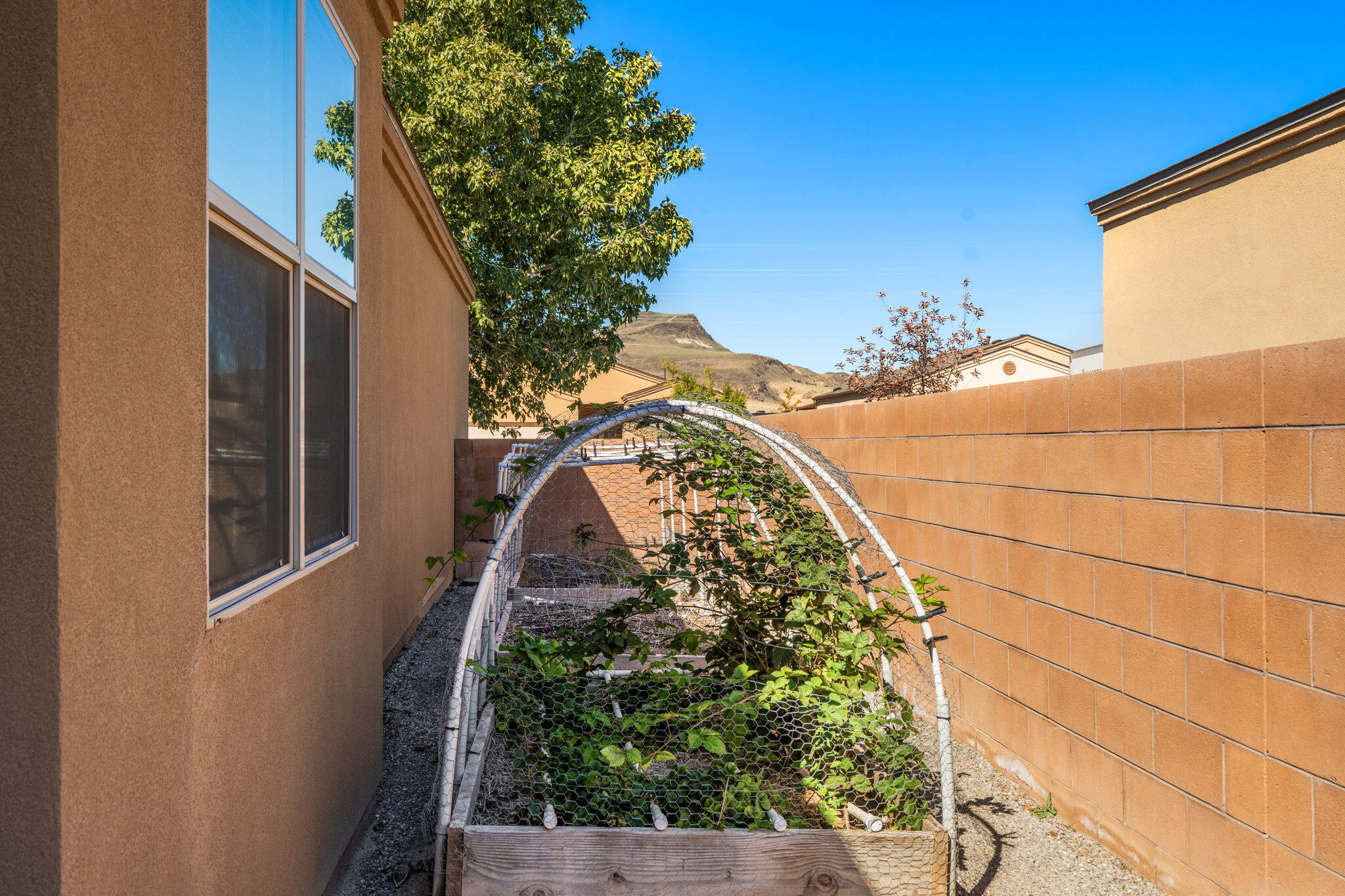 Photo 5 — 1771 Camino Rustica SW