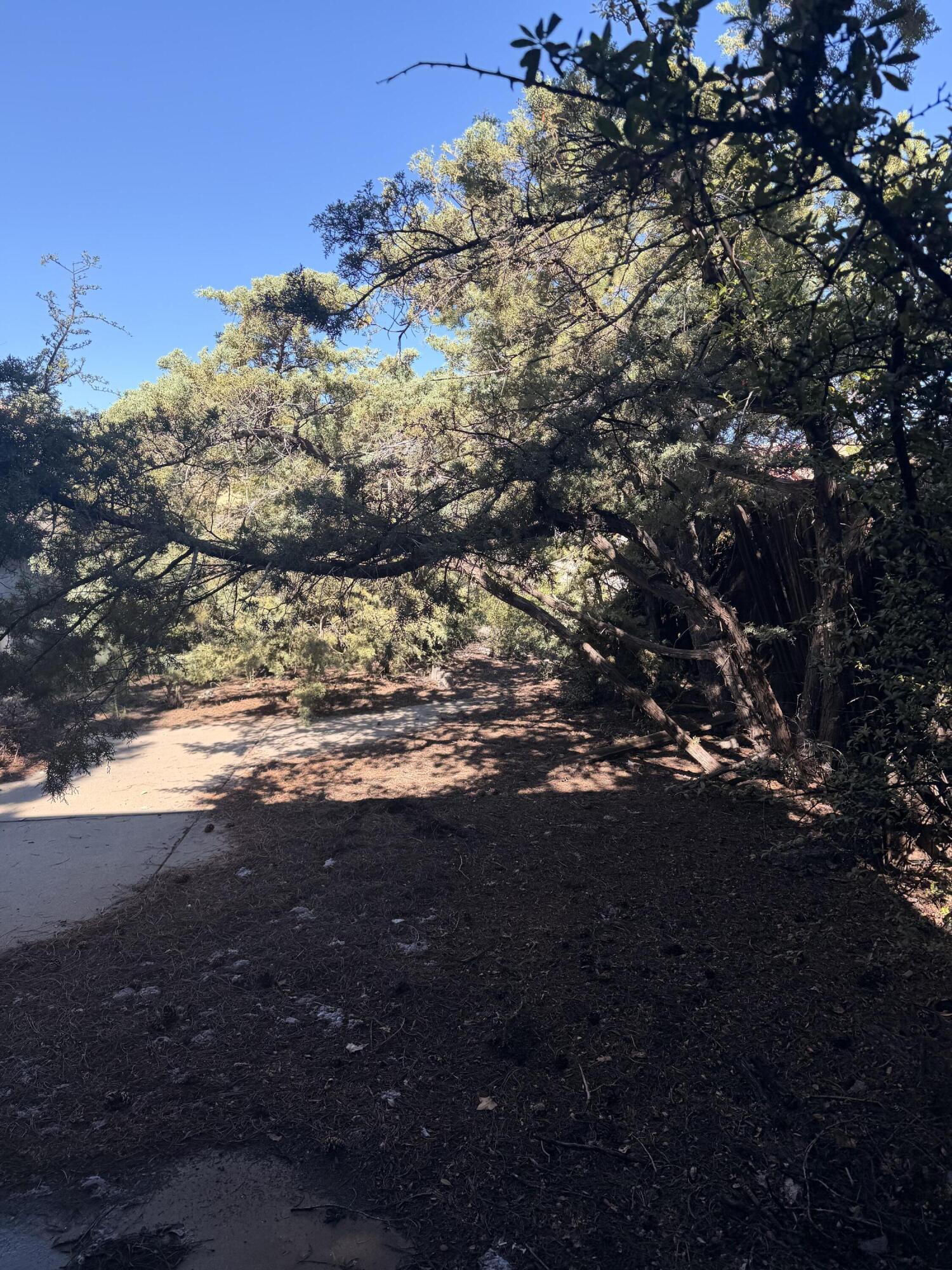 Photo 2 — 1415 Nemesia Place NE