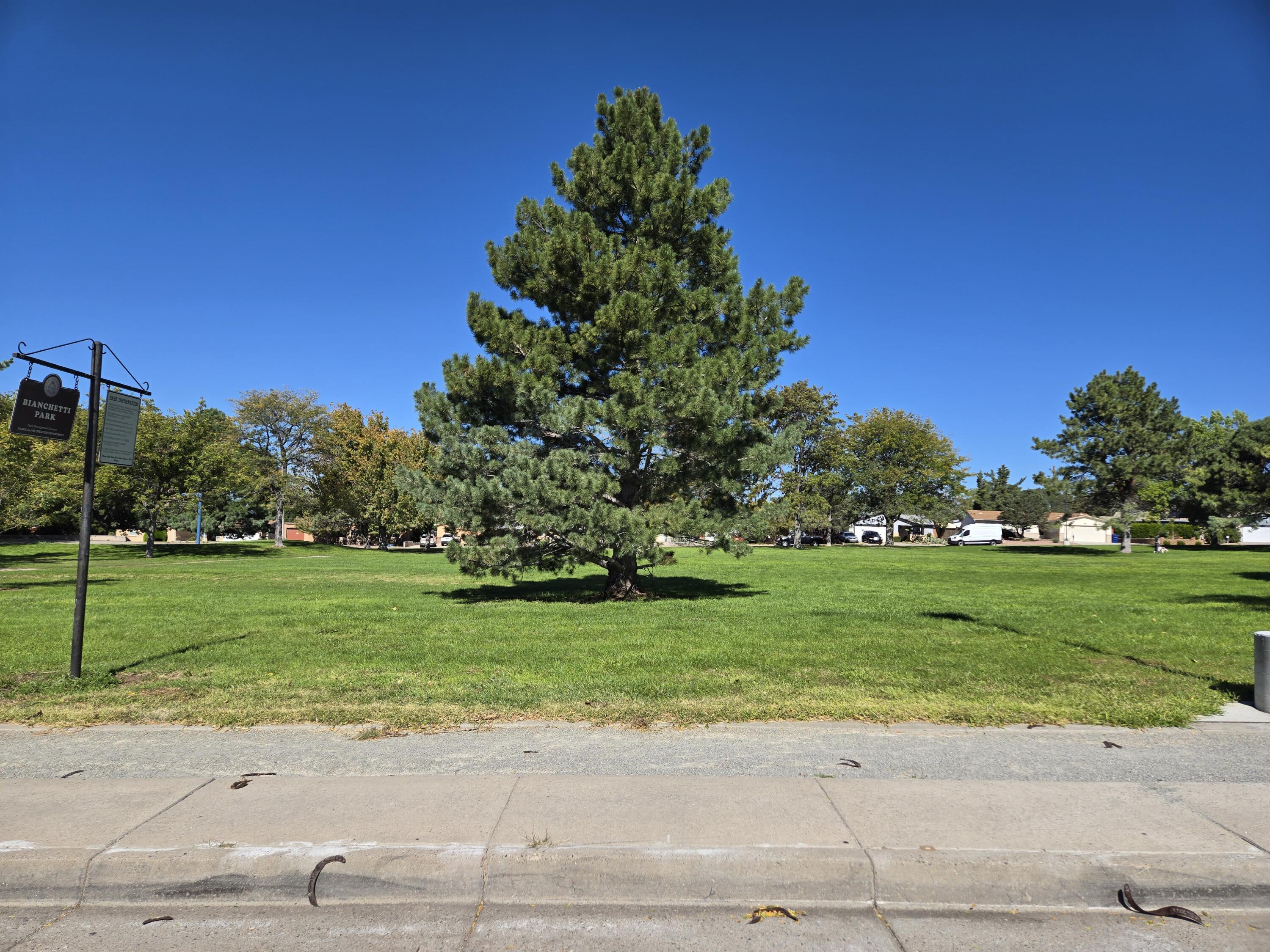 Photo 15 — 12908 Granite Avenue NE