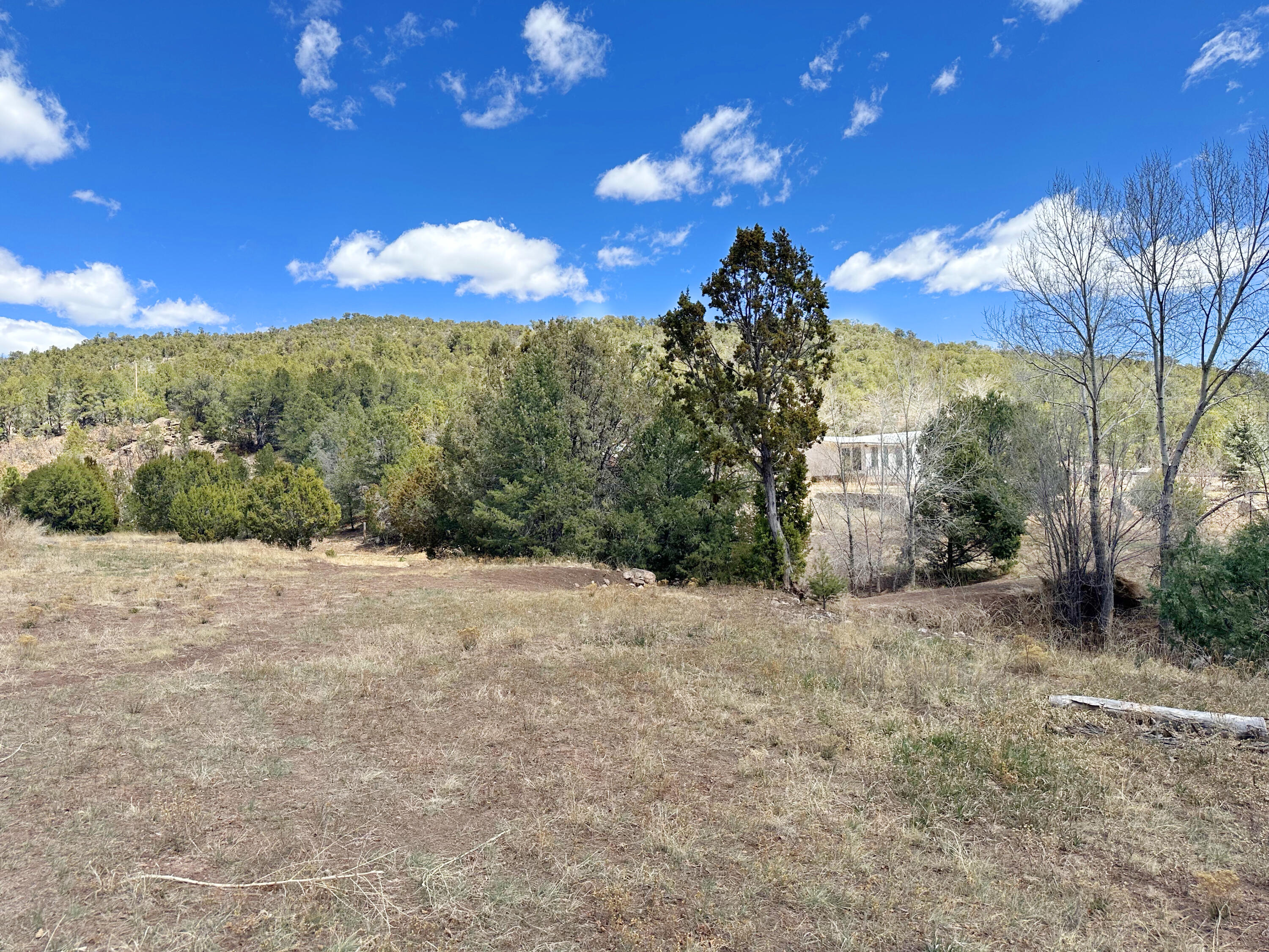Photo 6 — 53 County Road B44C