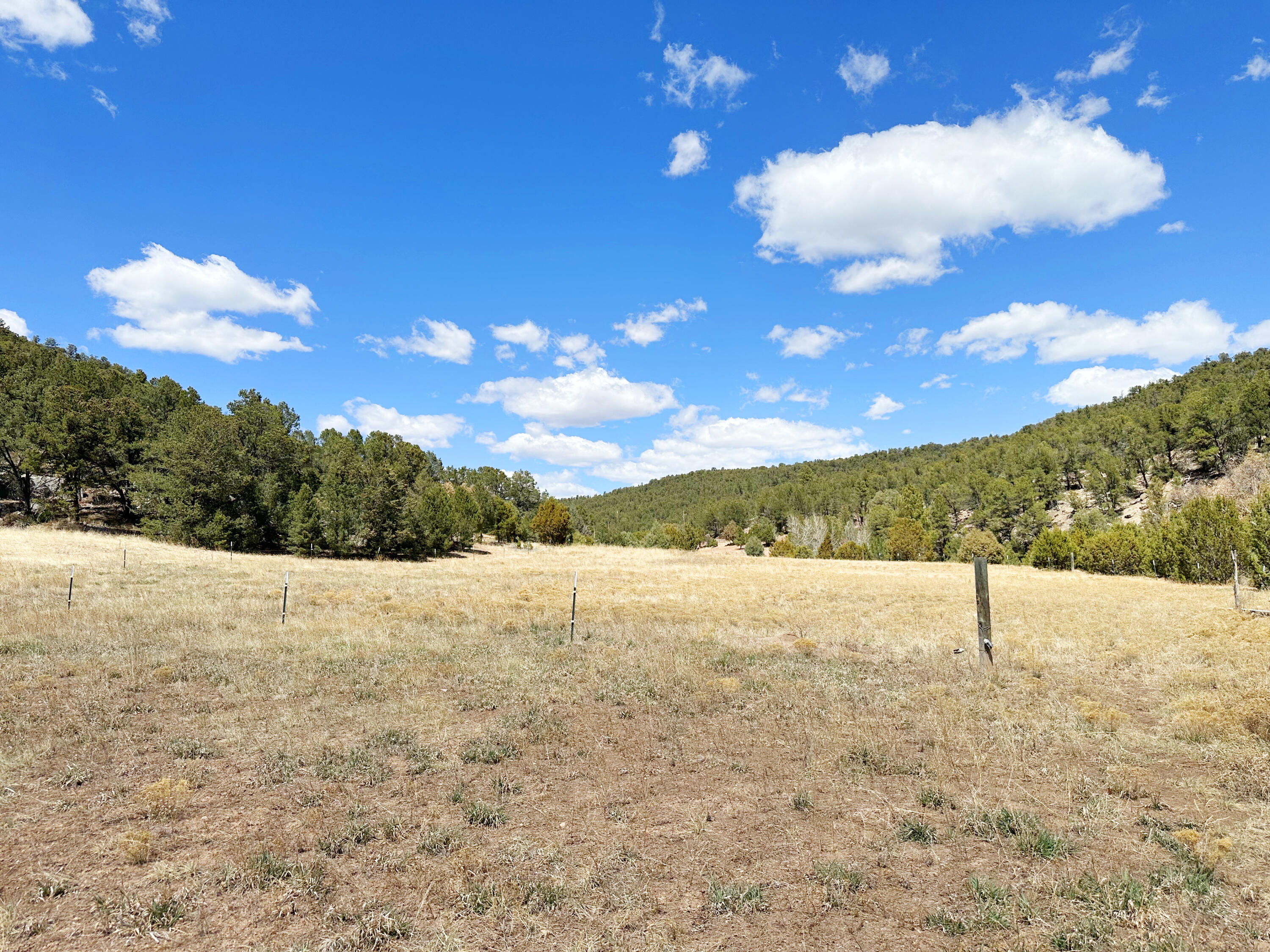 Photo 7 — 53 County Road B44C