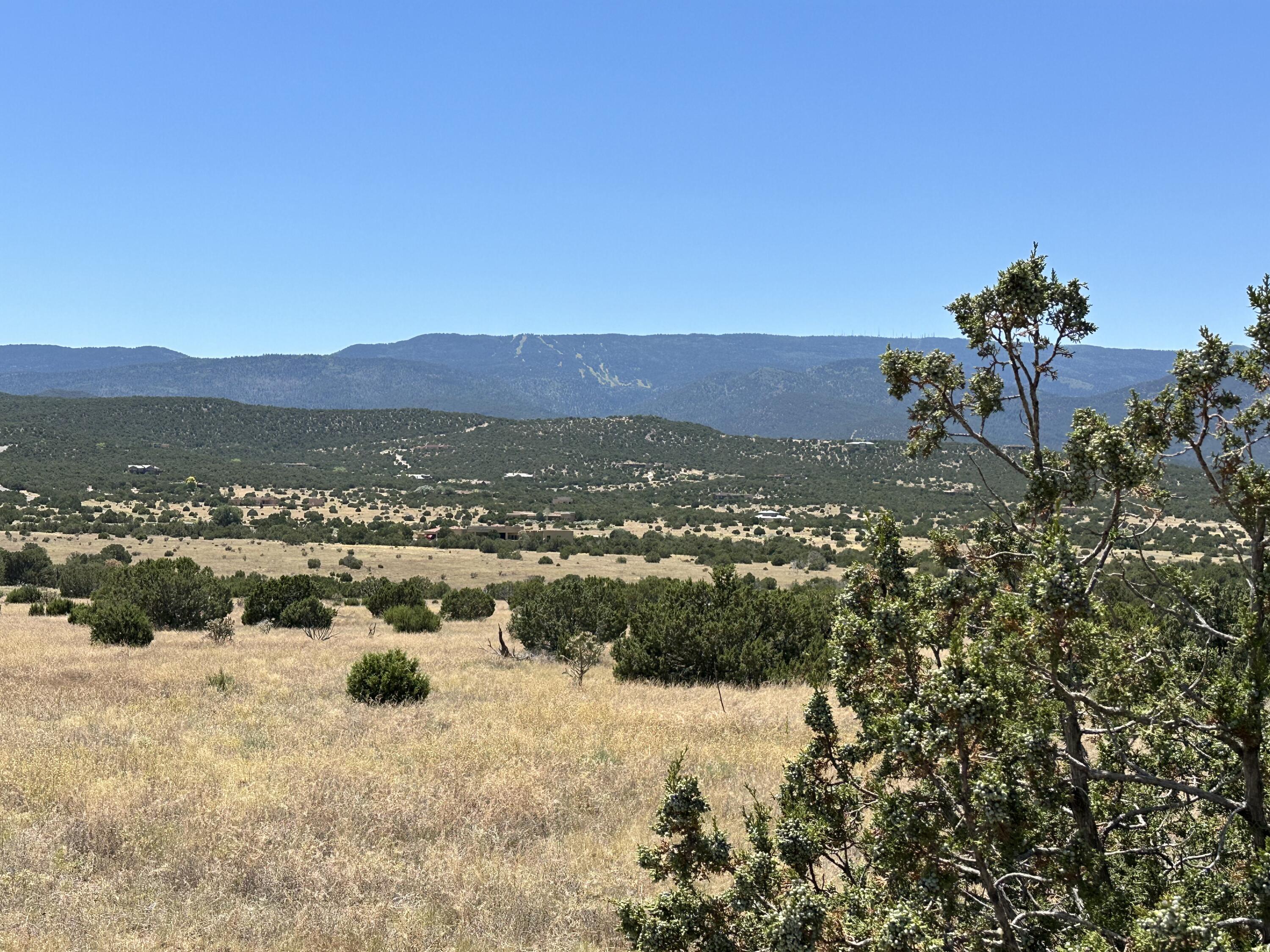 Photo 2 — 40 Camino Real