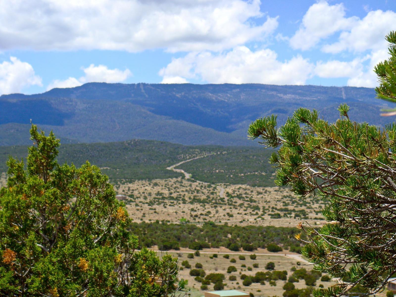 Photo 4 — 40 Camino Real
