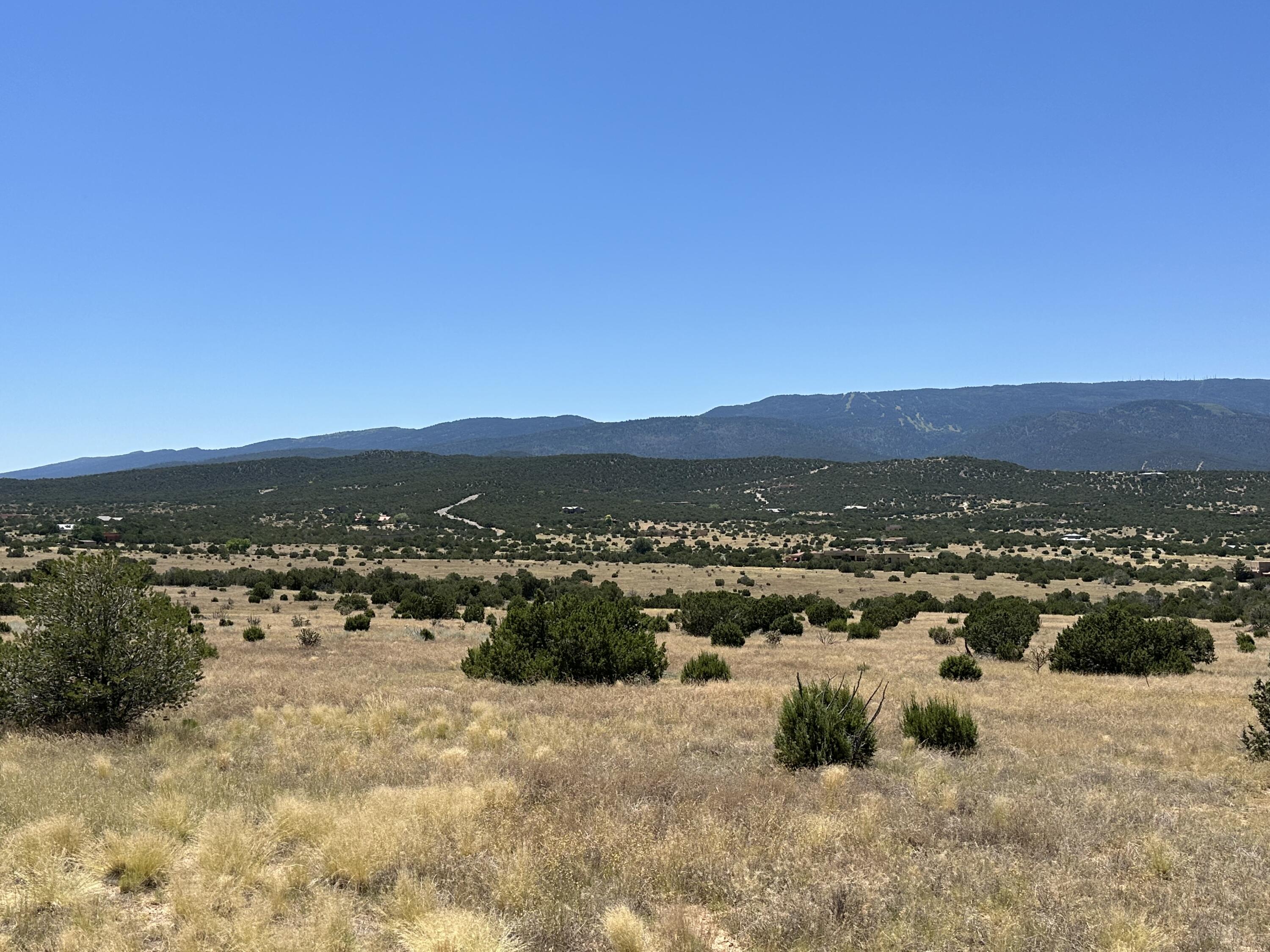 Photo 6 — 40 Camino Real
