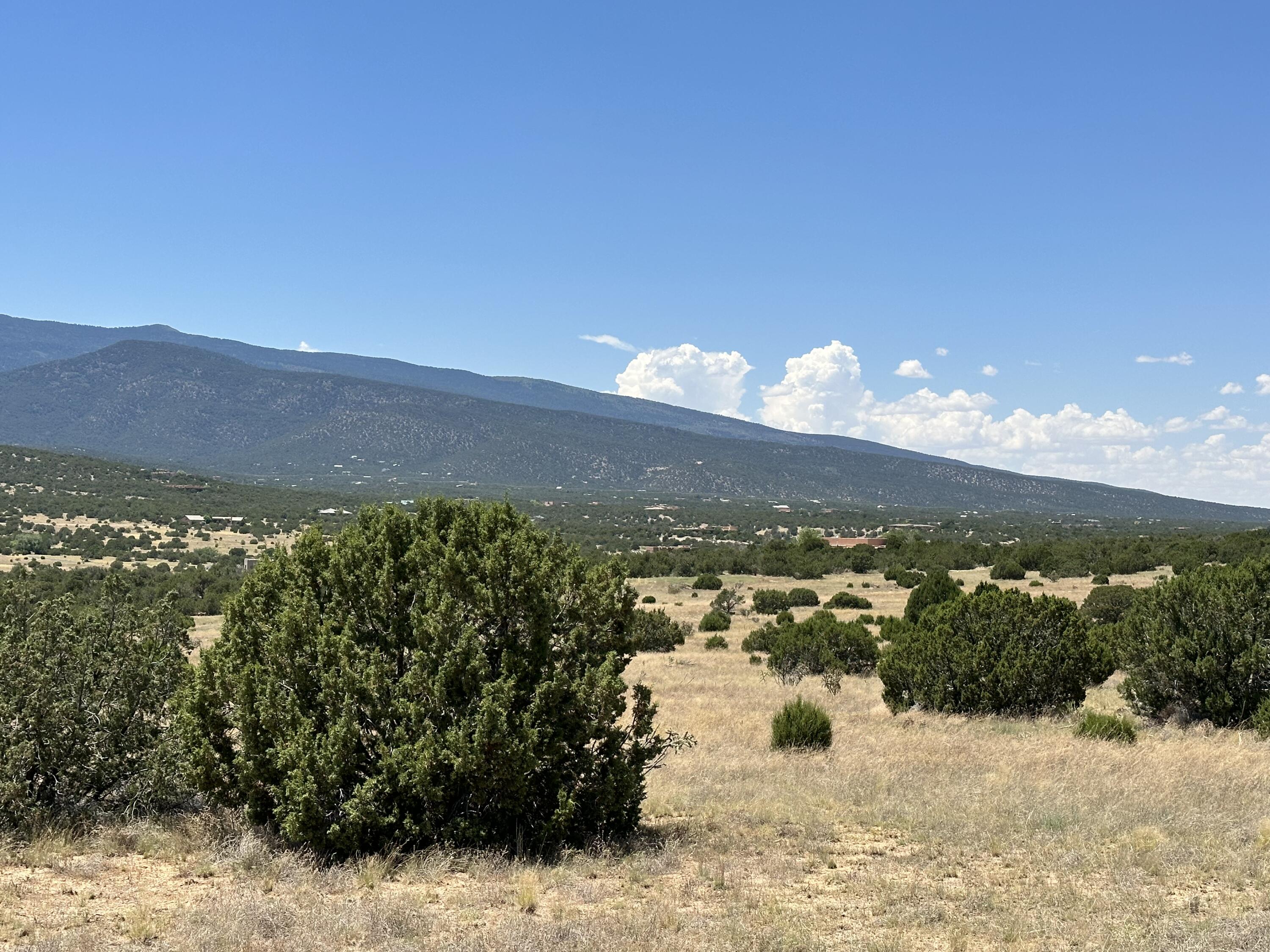 Photo 8 — 40 Camino Real