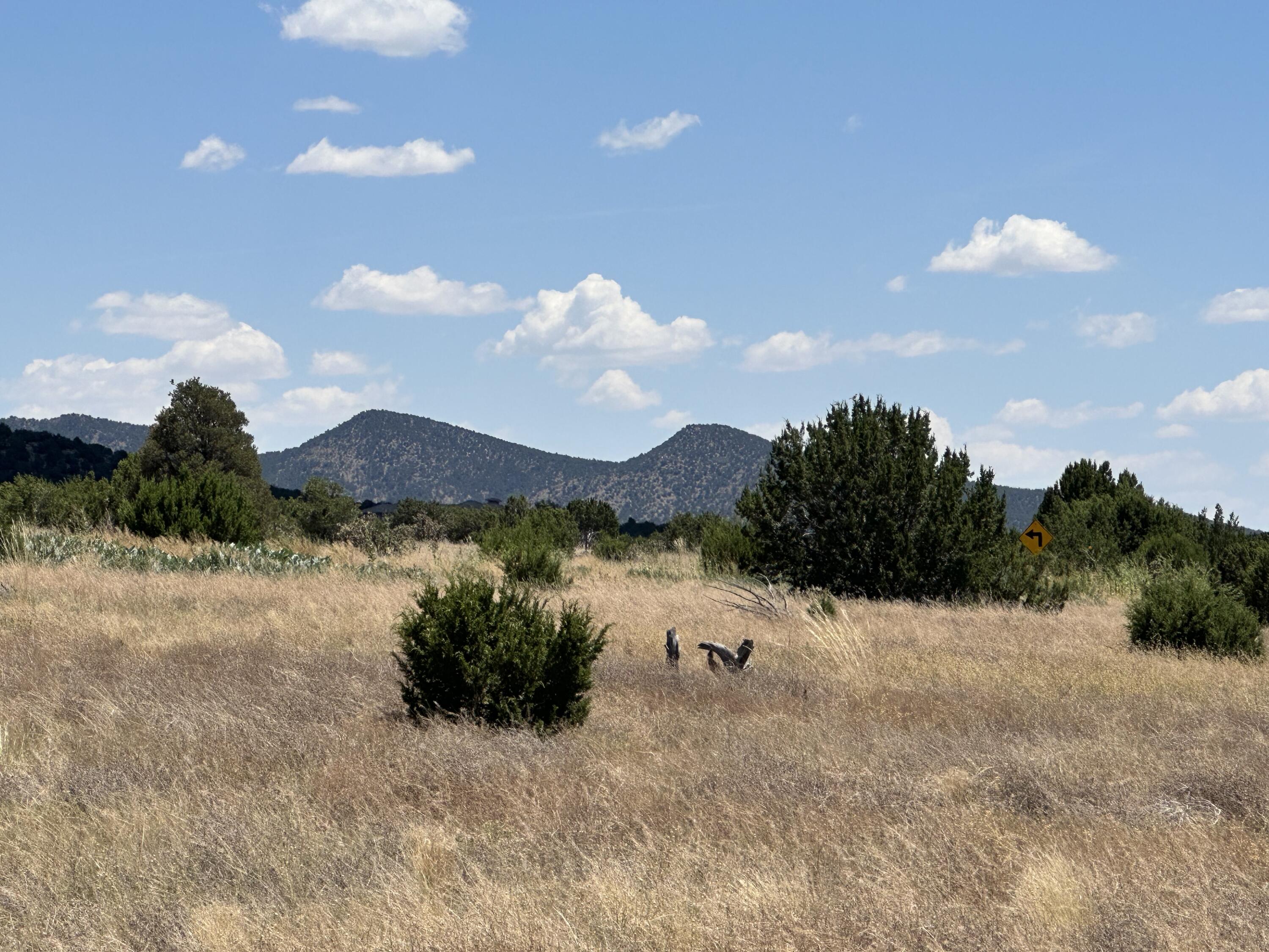 Photo 11 — 40 Camino Real