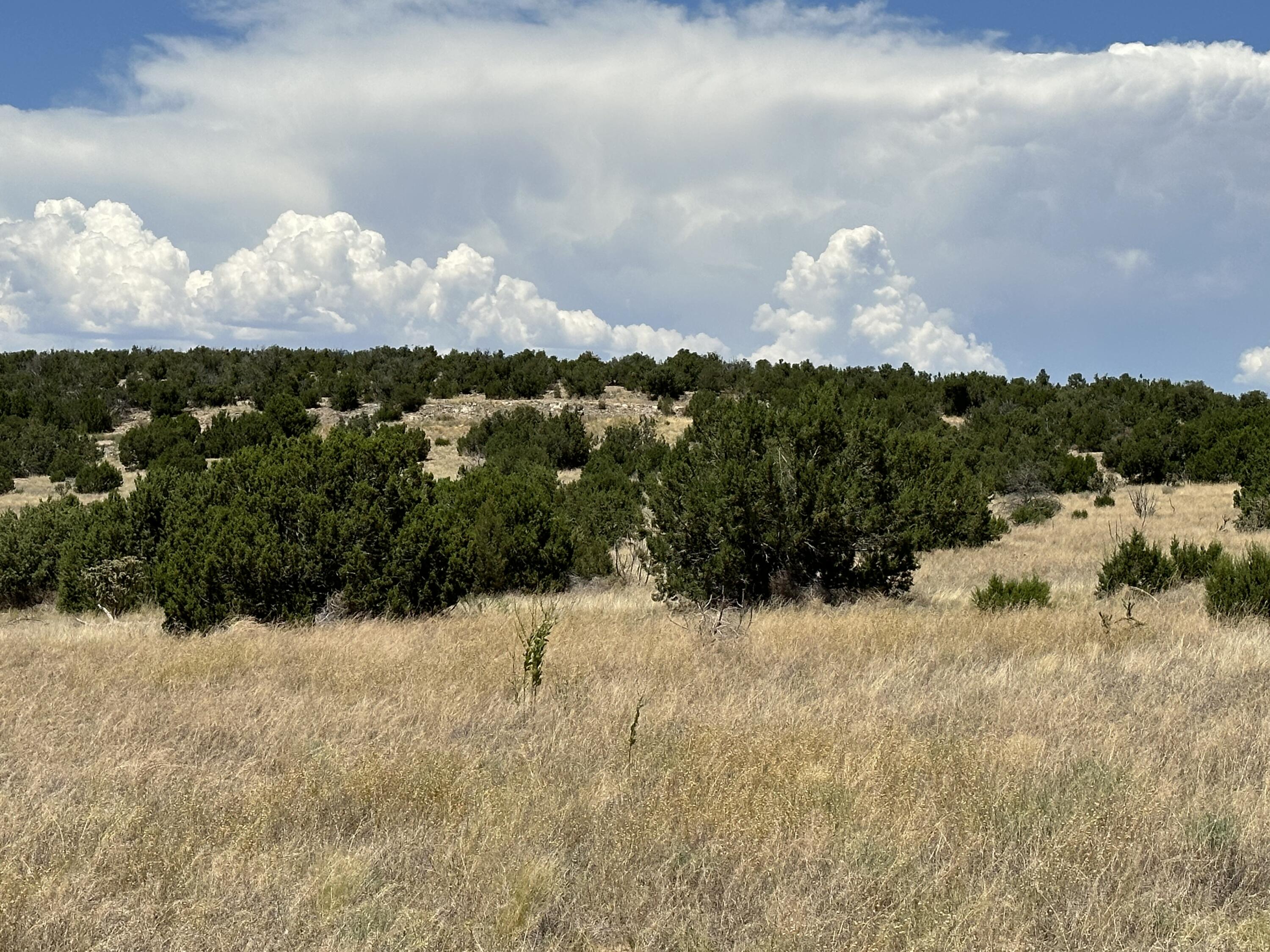 Photo 12 — 40 Camino Real