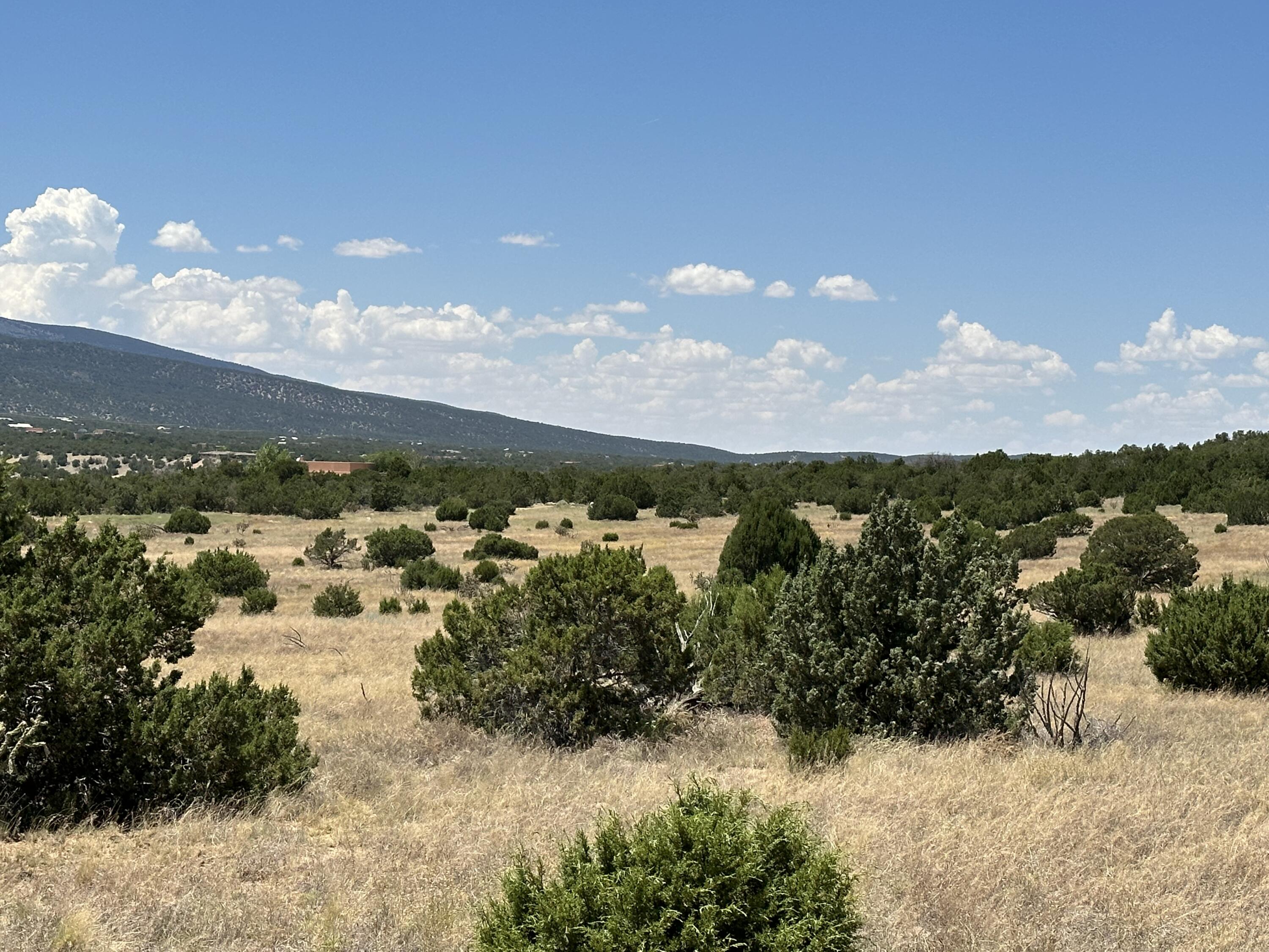 Photo 13 — 40 Camino Real