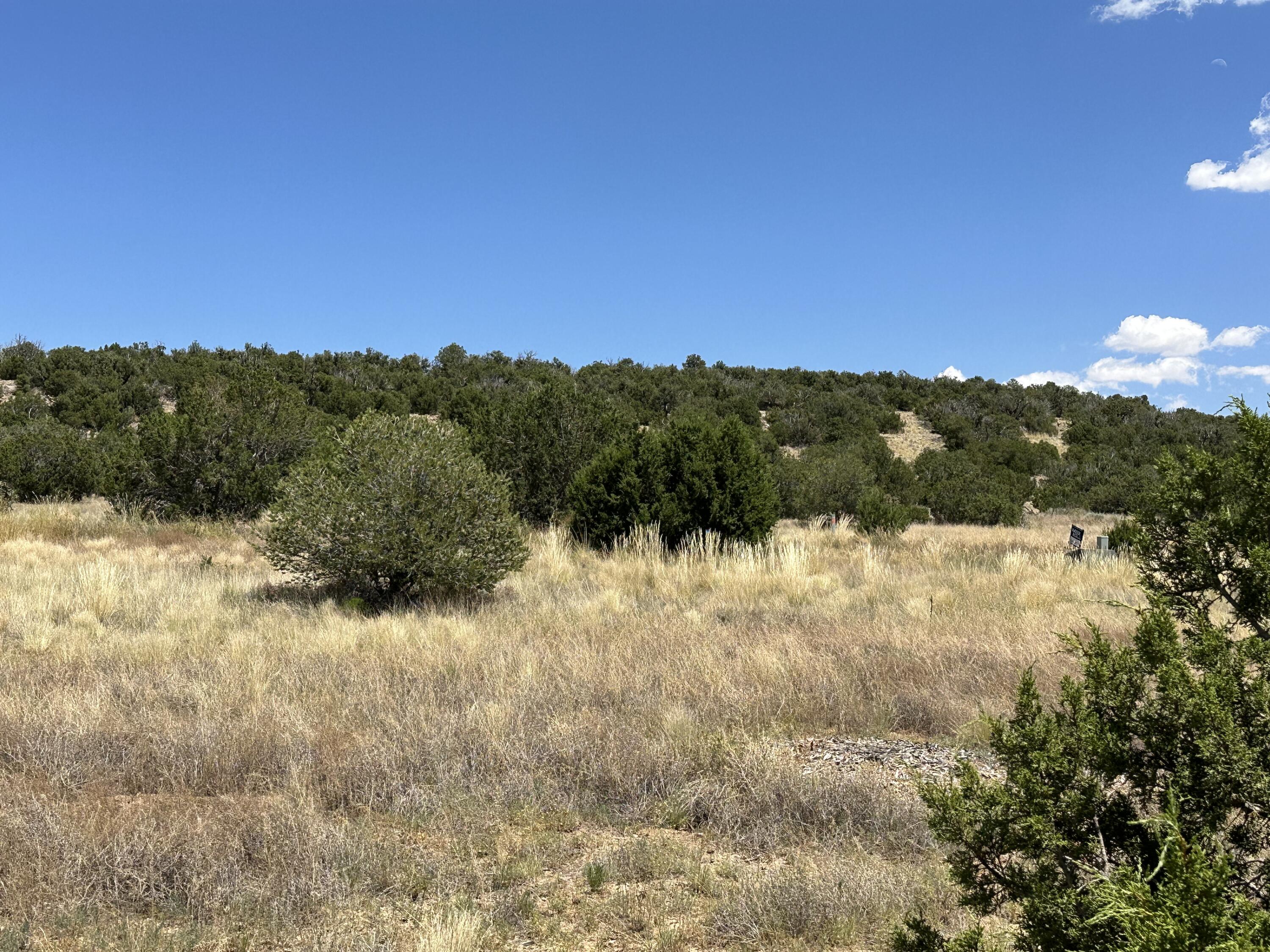 Photo 14 — 40 Camino Real