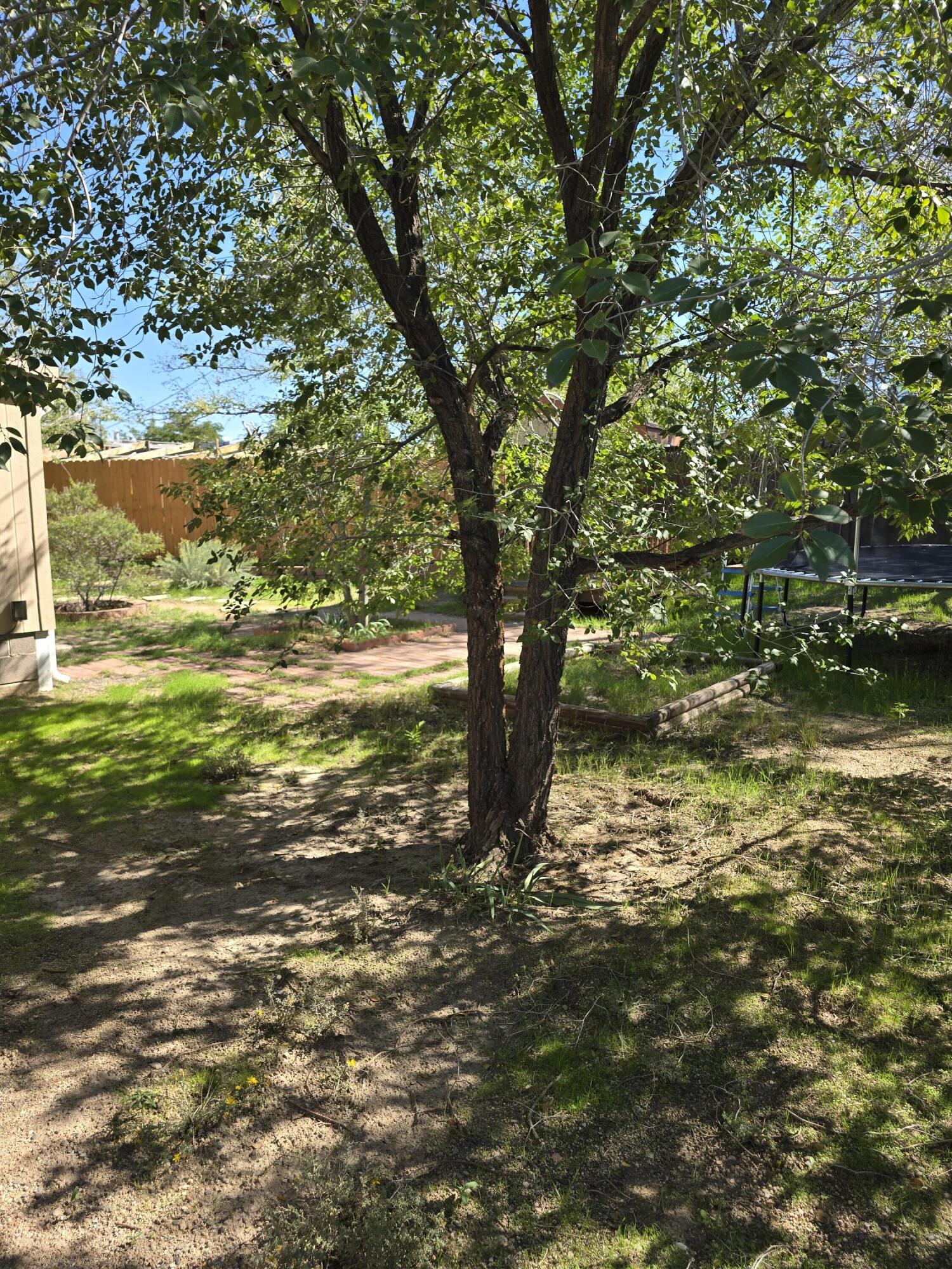 Photo 10 — 4308 Shepard Road NE