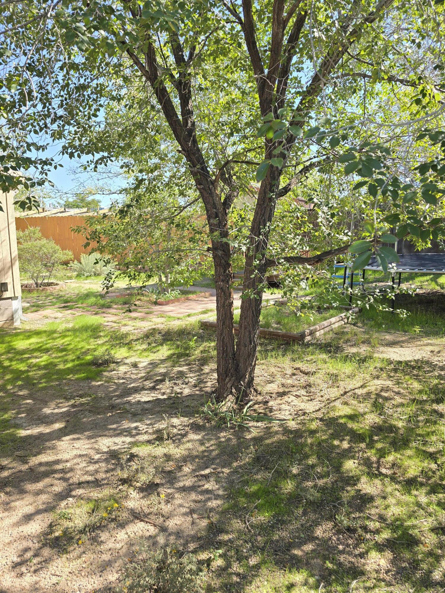Photo 9 — 4308 Shepard Road NE