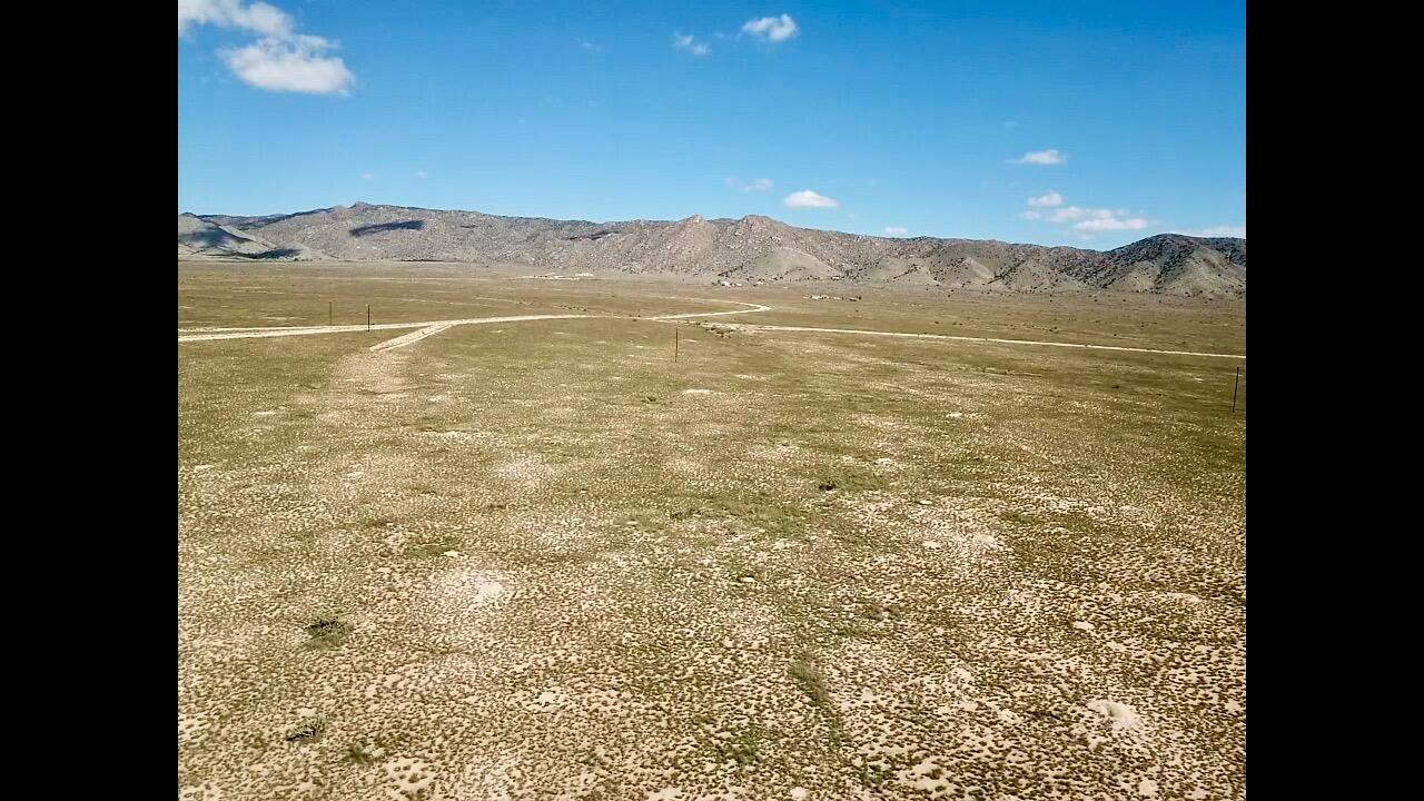 Photo 5 —  Lot 4 Tocoda Loop