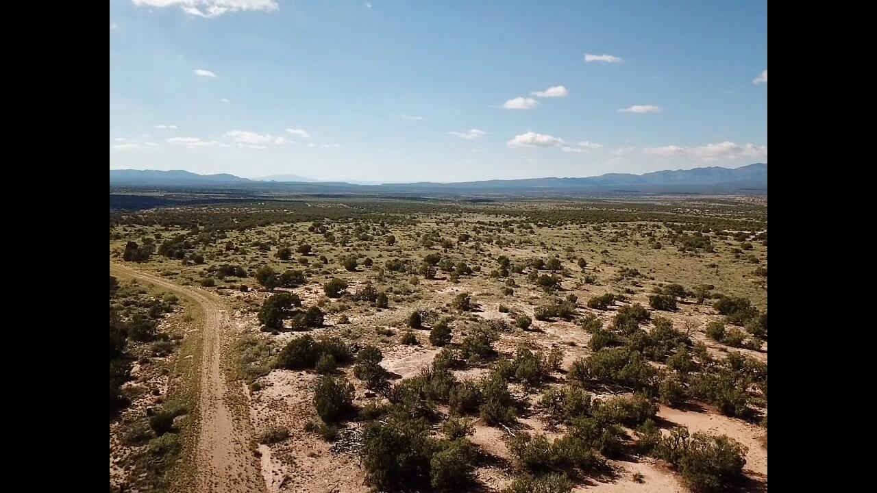 Photo 5 — 9 Caje Trail