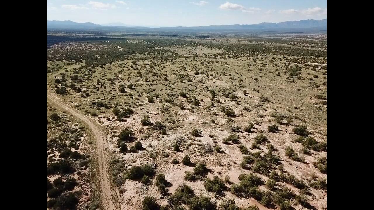 Photo 4 — 9 Caje Trail