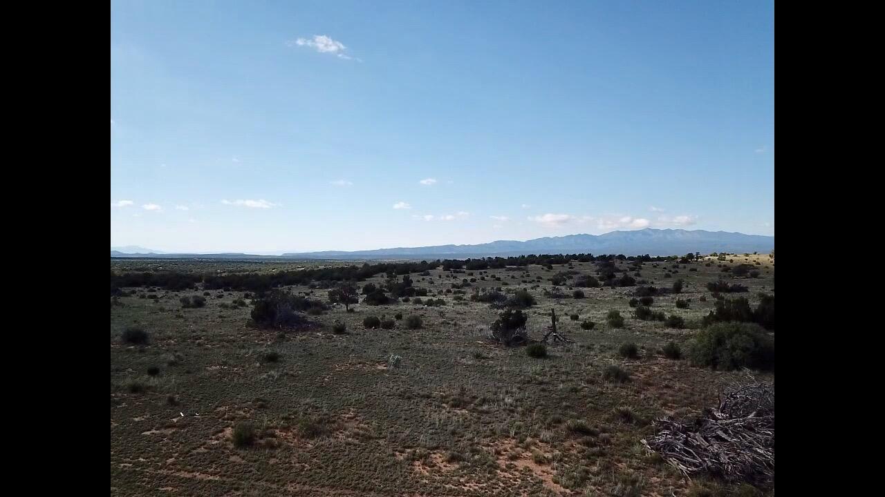 Photo 5 — 1869 Deer Canyon Trail
