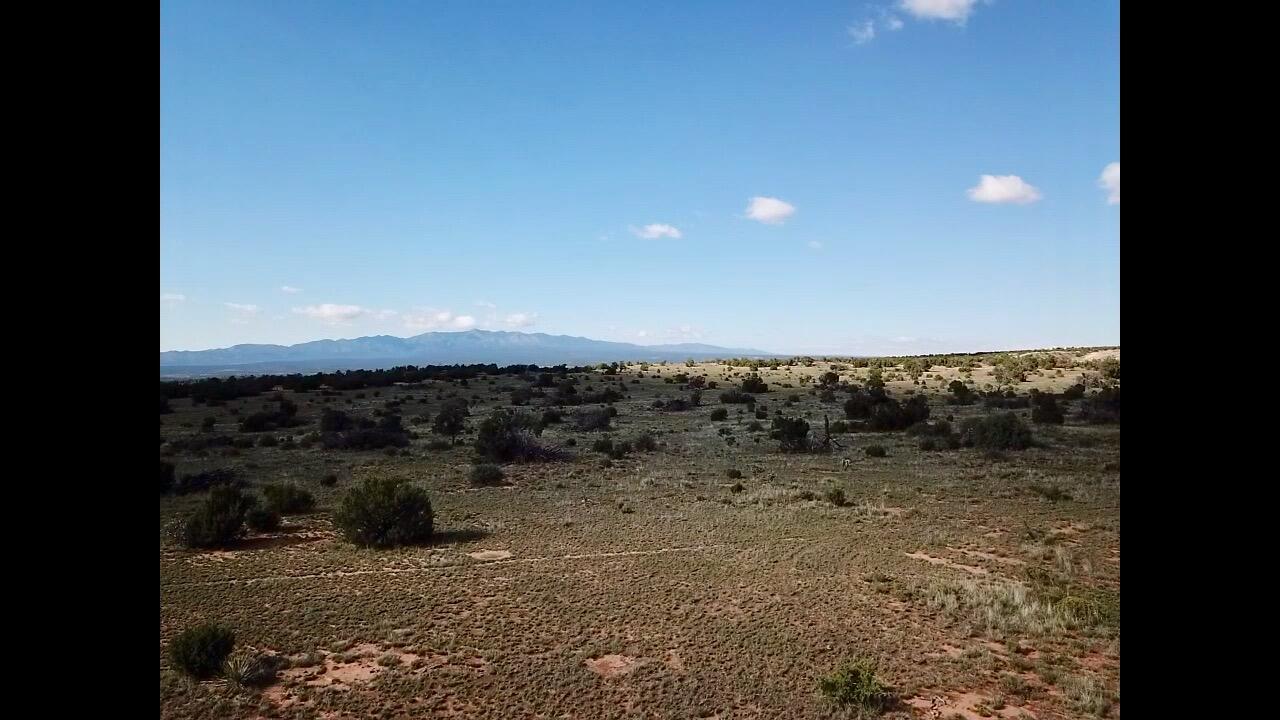 Photo 4 — 1869 Deer Canyon Trail
