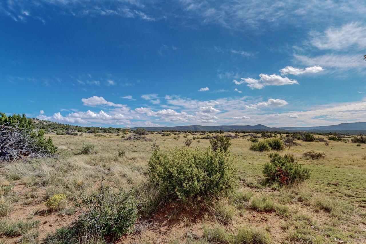 Photo 2 — 1869 Deer Canyon Trail