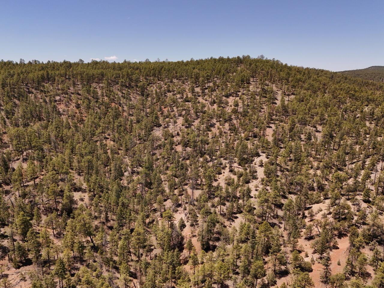Photo 20 —  Little Arrow 24.85AC Trail
