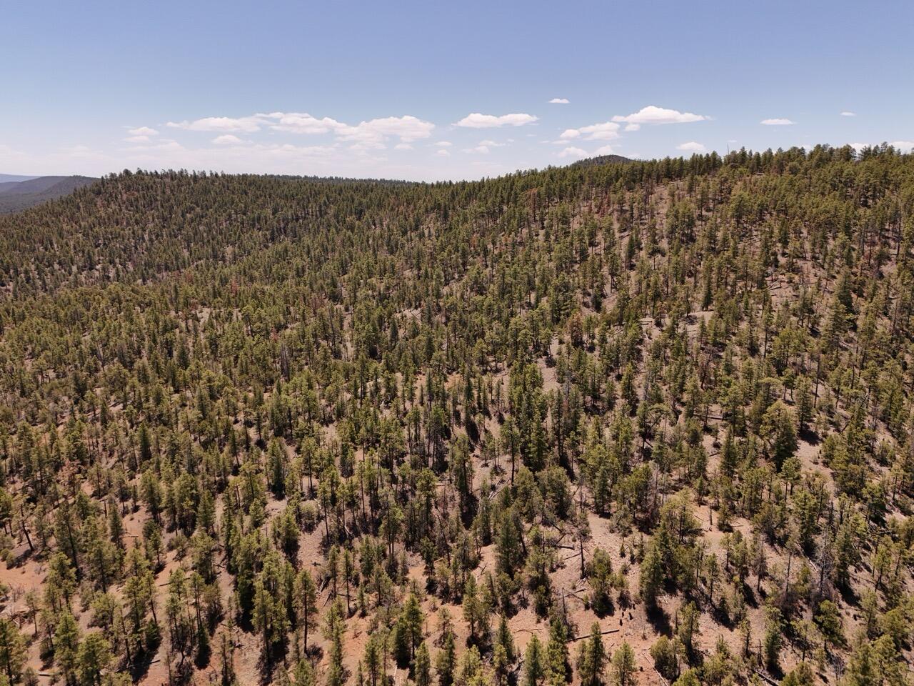 Photo 19 —  Little Arrow 24.85AC Trail