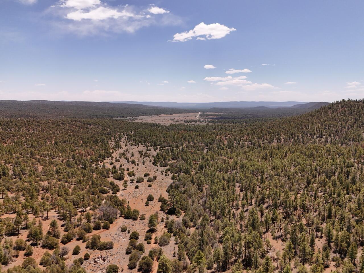 Photo 18 —  Little Arrow 24.85AC Trail