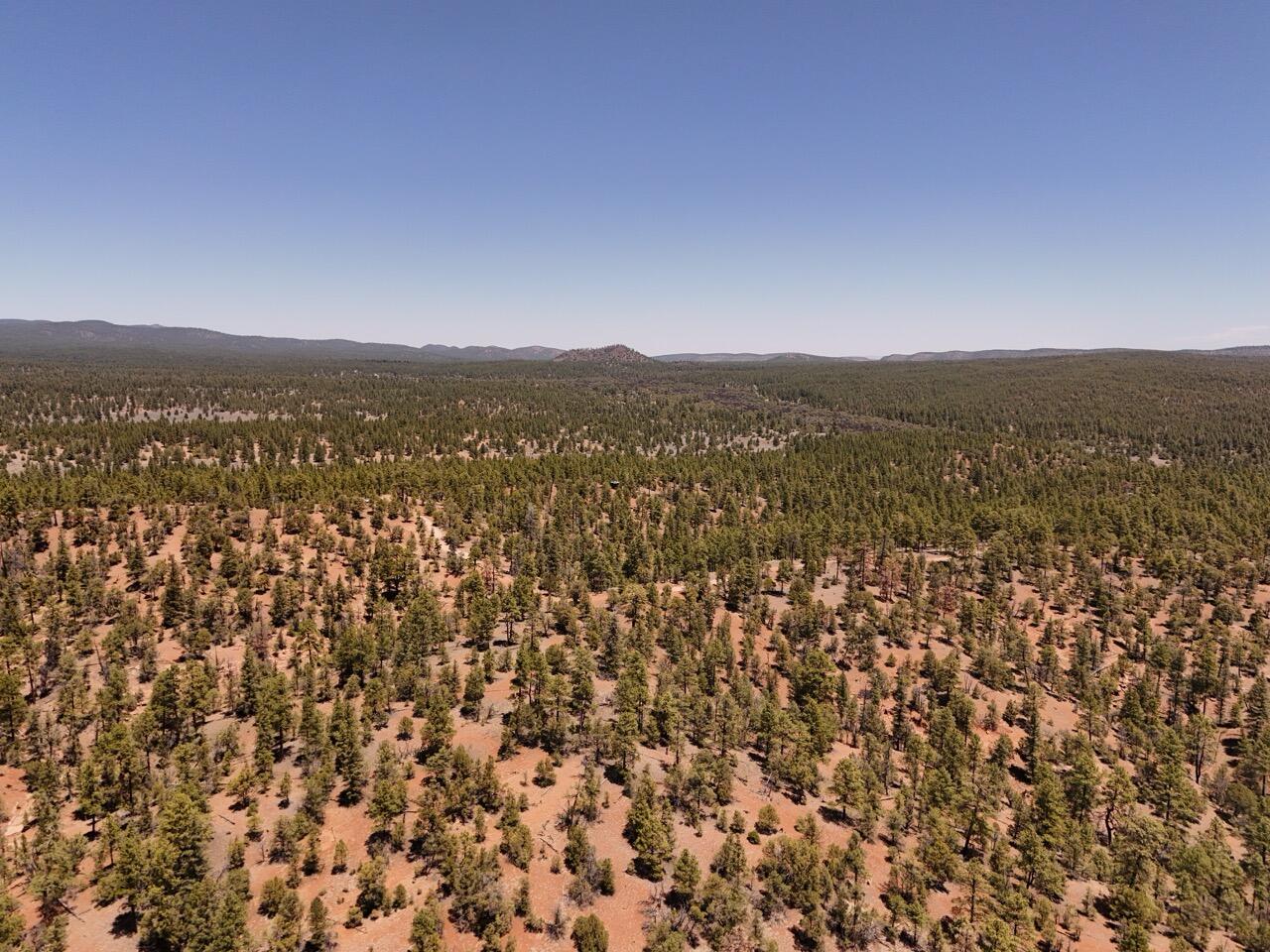 Photo 17 —  Little Arrow 24.85AC Trail