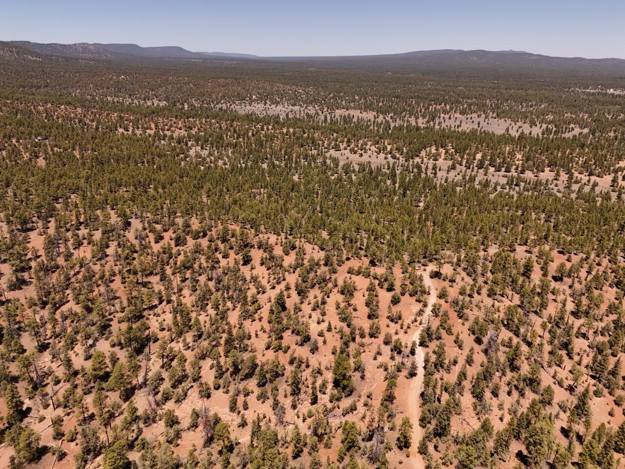 Photo 15 —  Little Arrow 24.85AC Trail