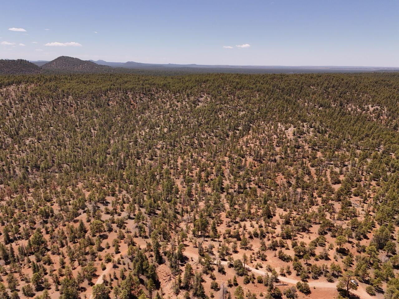 Photo 14 —  Little Arrow 24.85AC Trail