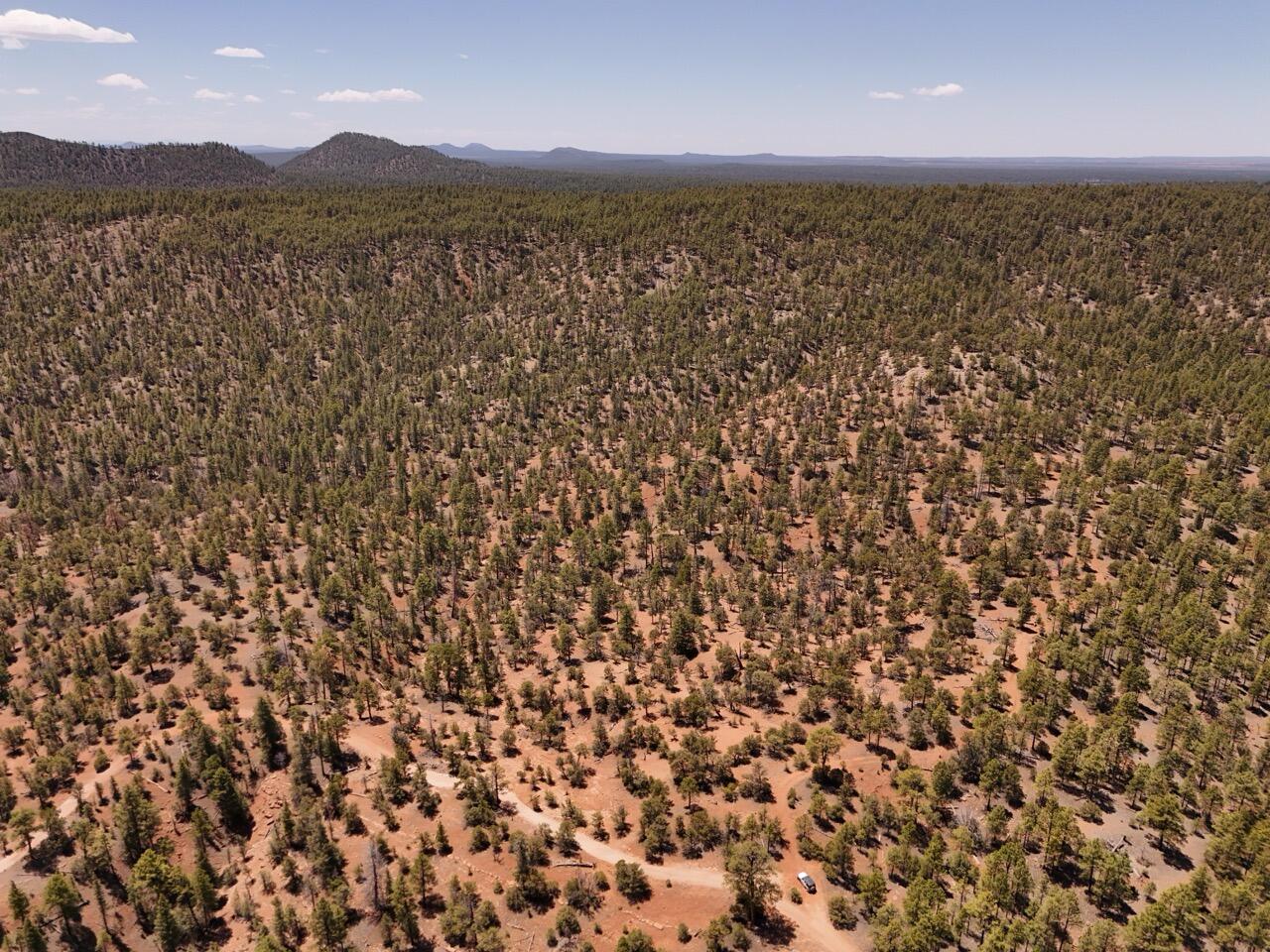 Photo 13 —  Little Arrow 24.85AC Trail