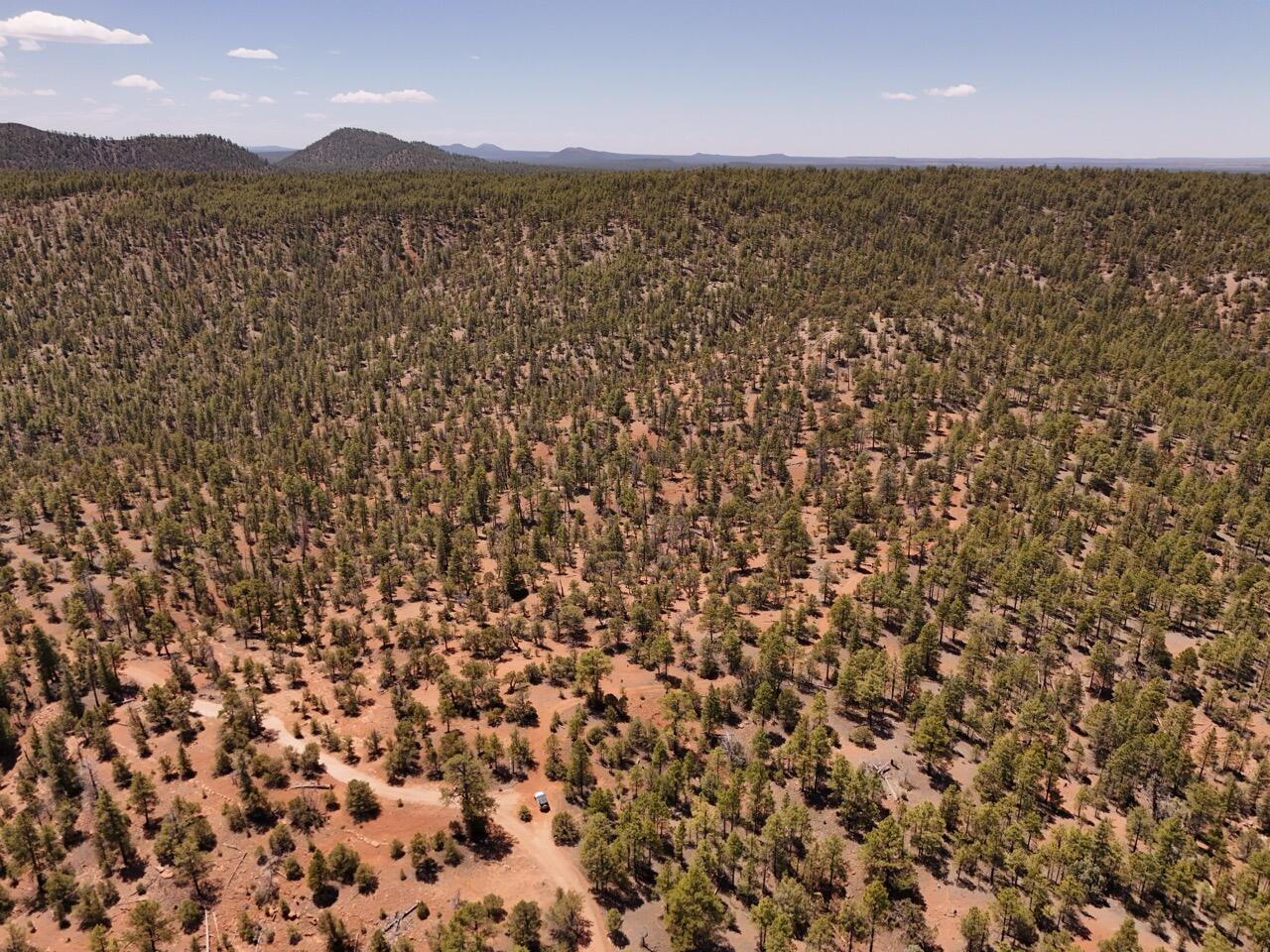 Photo 12 —  Little Arrow 24.85AC Trail