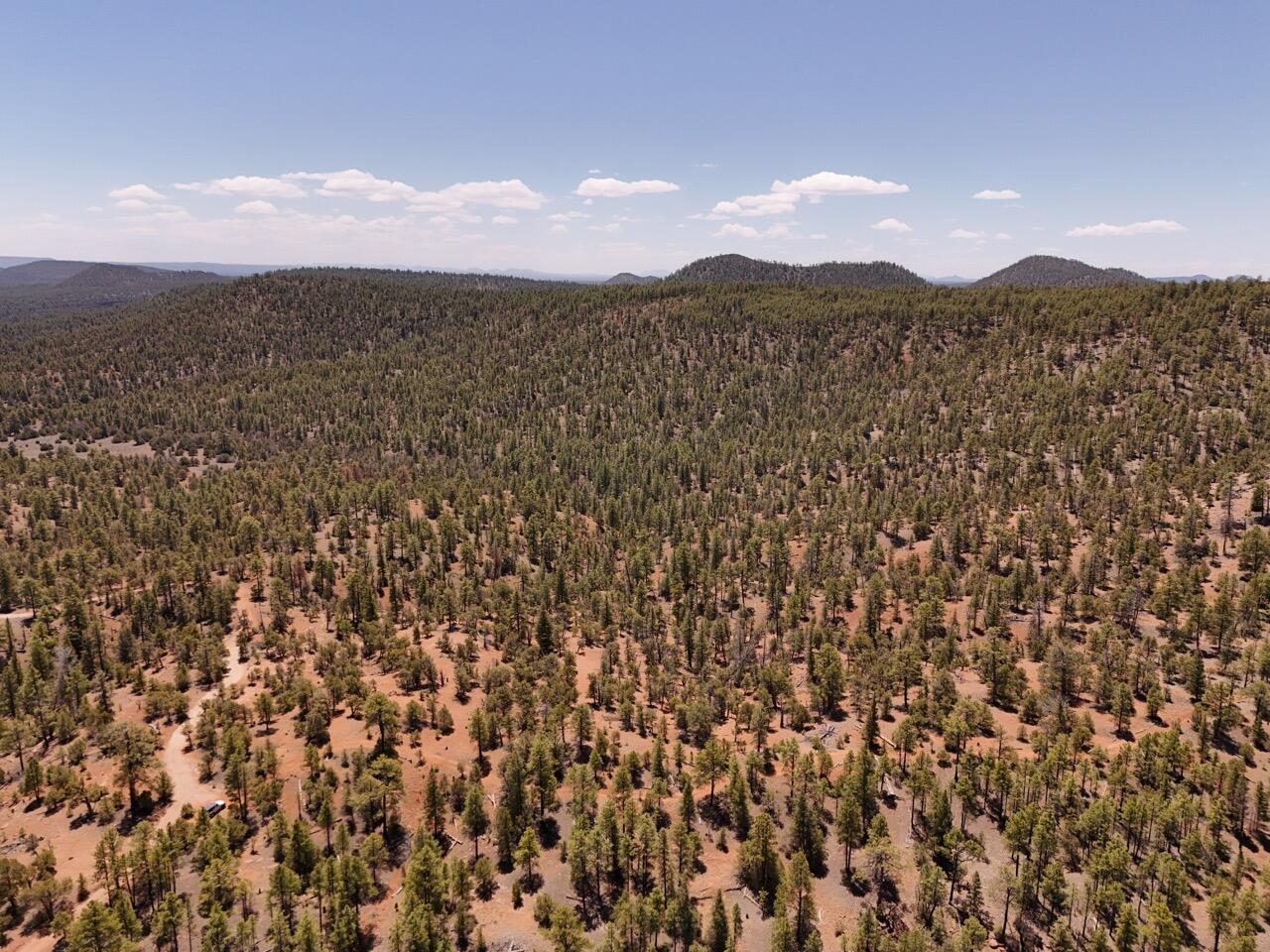 Photo 11 —  Little Arrow 24.85AC Trail