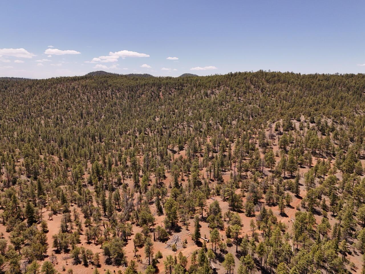 Photo 10 —  Little Arrow 24.85AC Trail