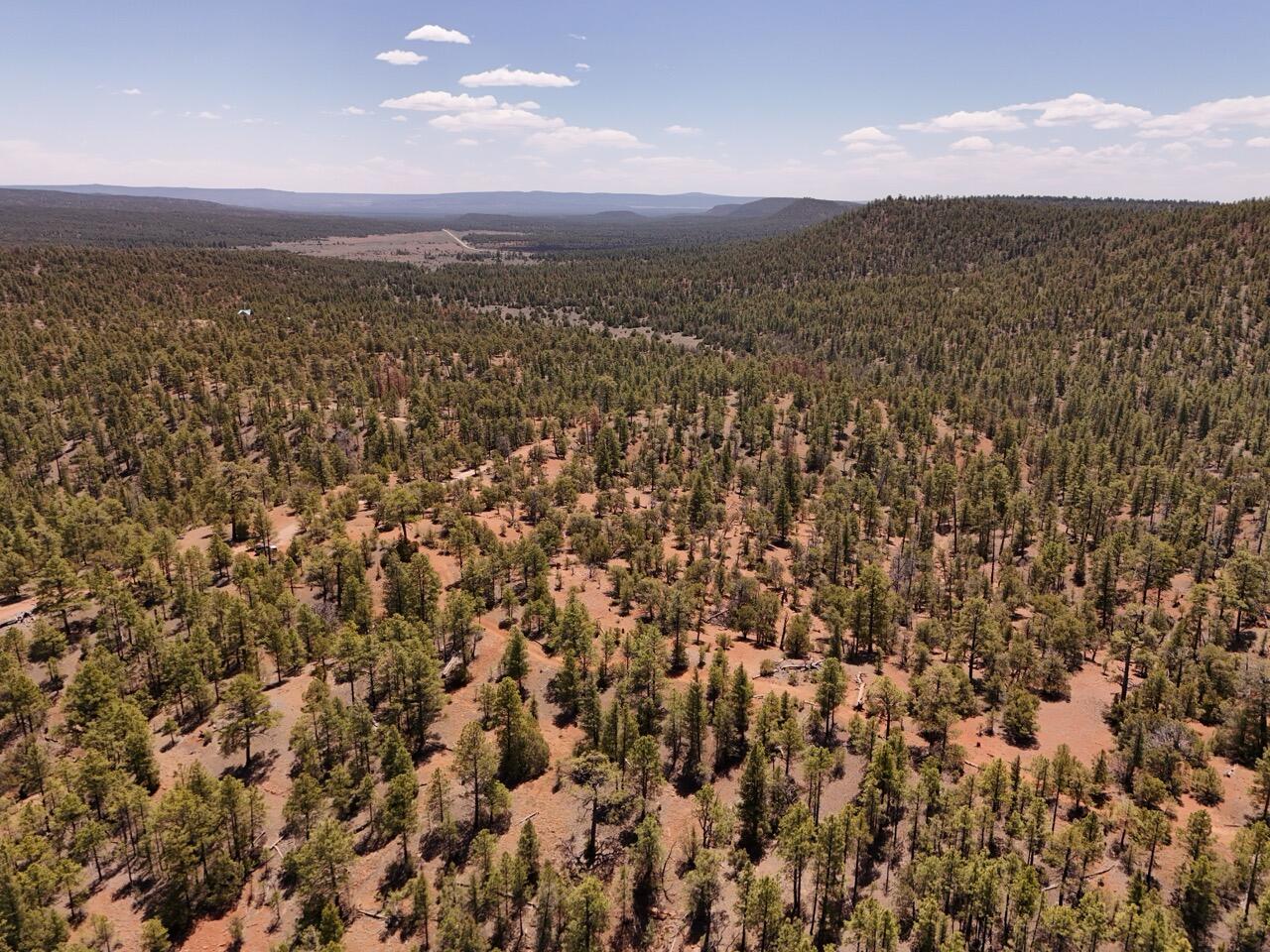 Photo 9 —  Little Arrow 24.85AC Trail