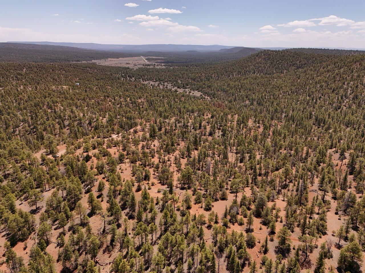 Photo 8 —  Little Arrow 24.85AC Trail