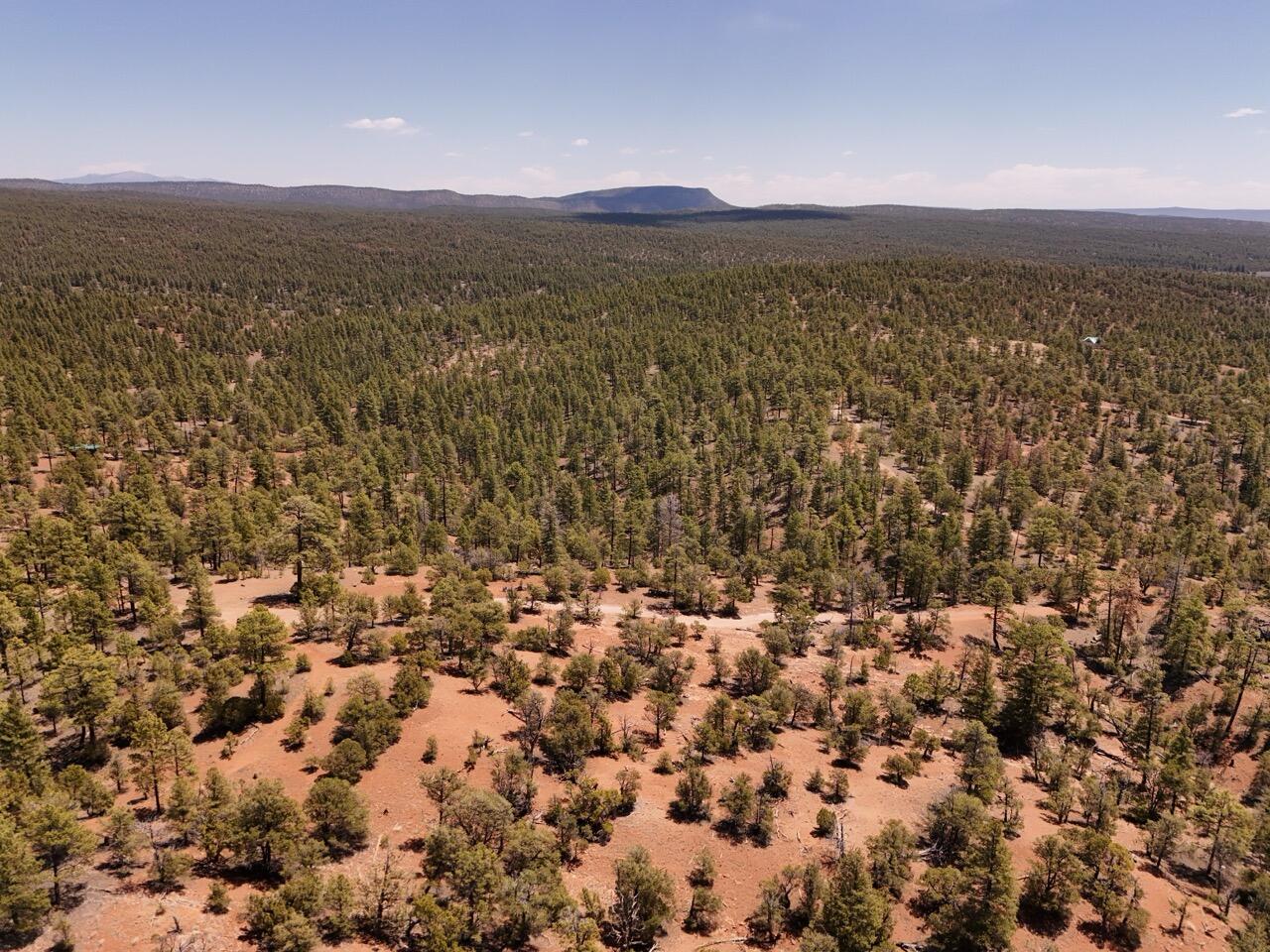 Photo 7 —  Little Arrow 24.85AC Trail