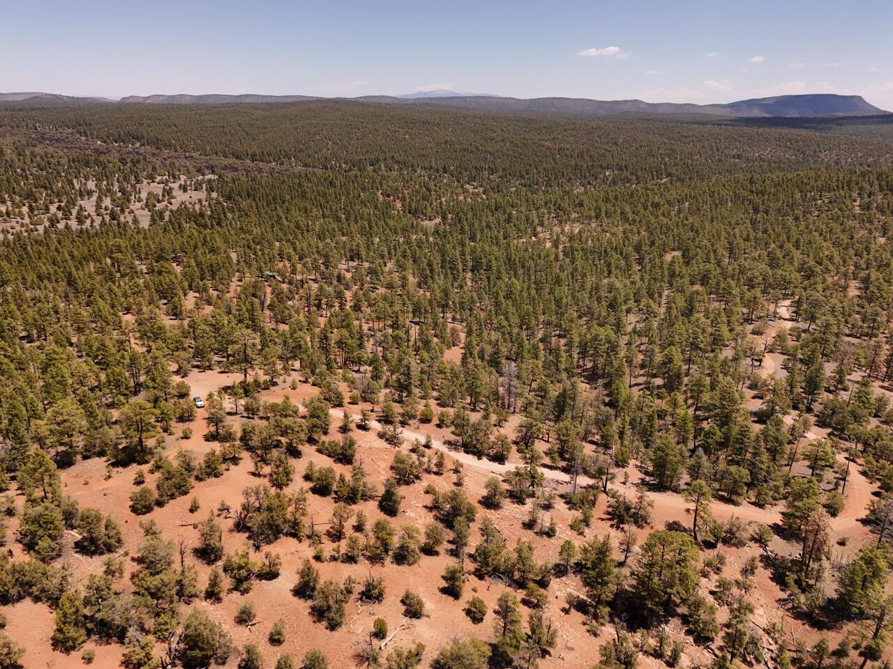 Photo 6 —  Little Arrow 24.85AC Trail