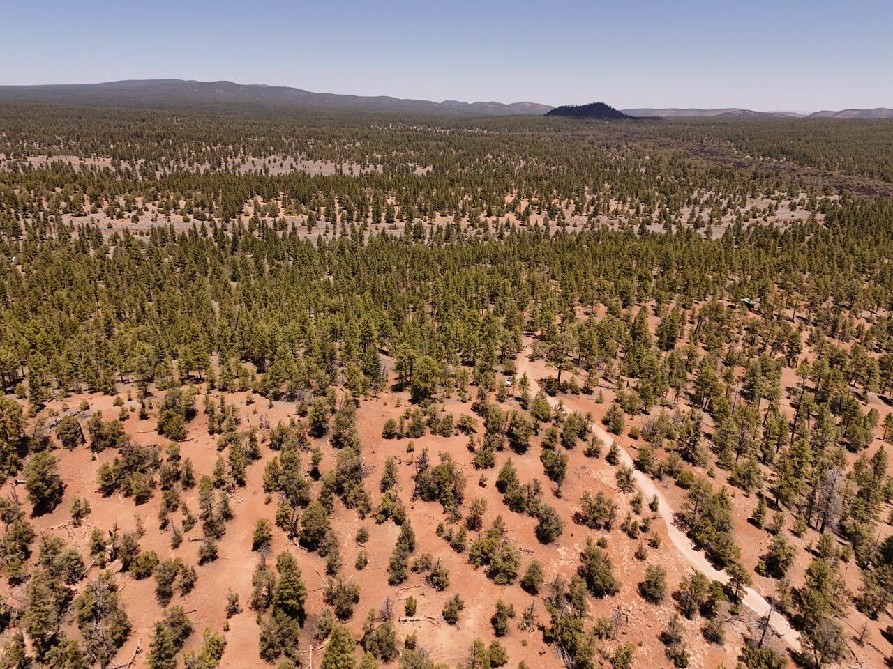Photo 5 —  Little Arrow 24.85AC Trail