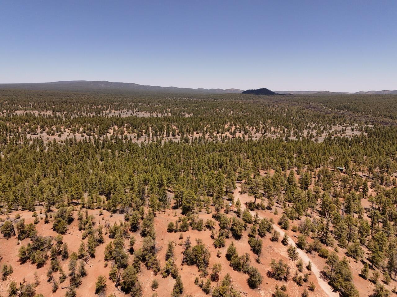 Photo 4 —  Little Arrow 24.85AC Trail