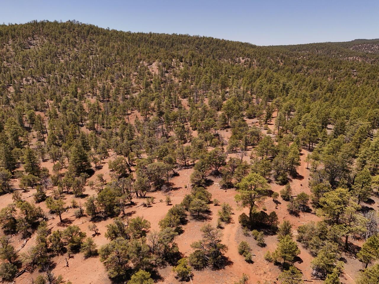 Photo 3 —  Little Arrow 24.85AC Trail