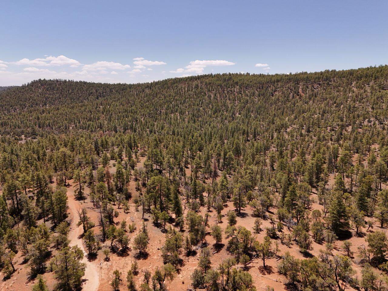 Photo 2 —  Little Arrow 24.85AC Trail