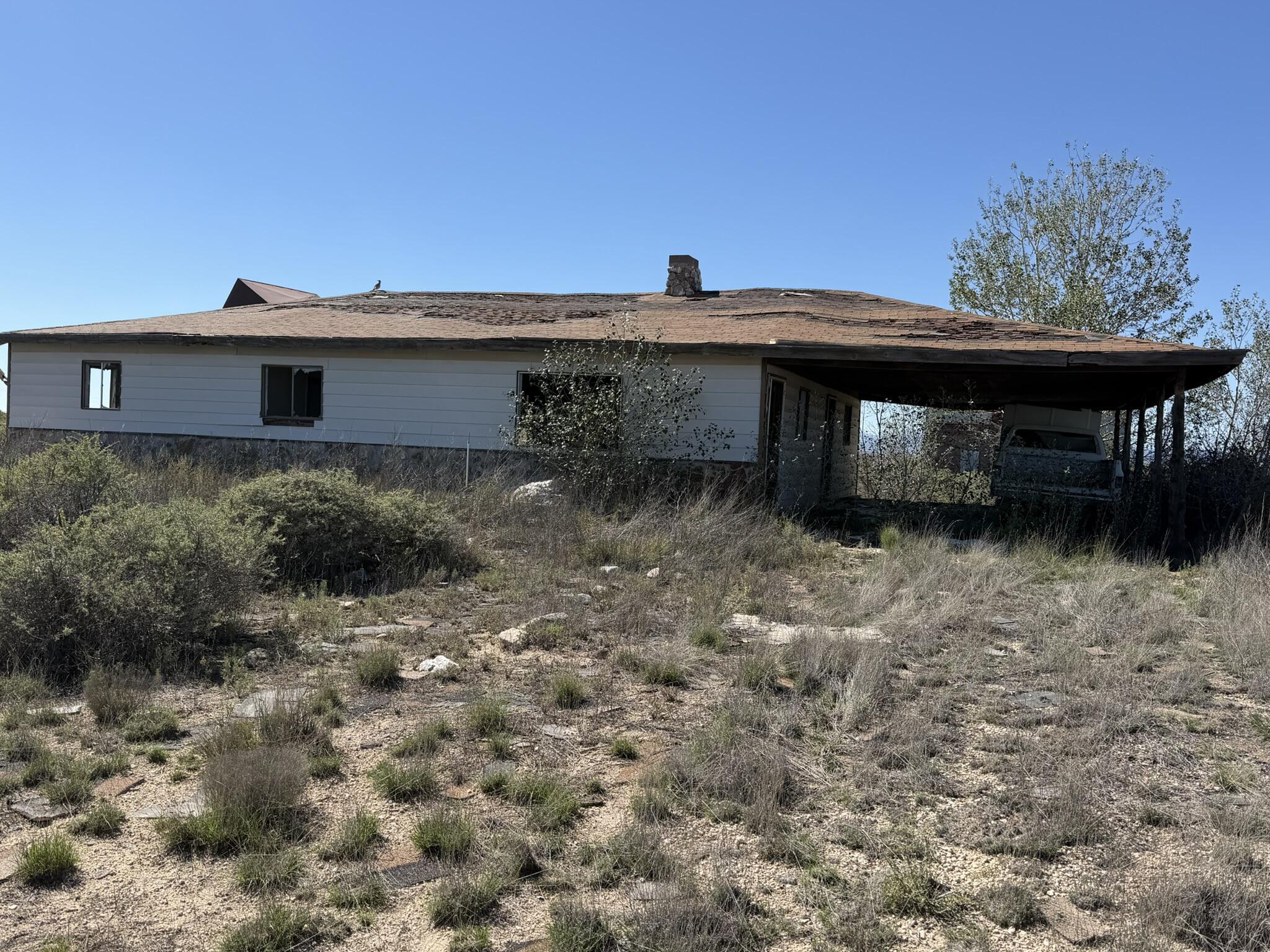 Photo 14 — 12 Borroughs Road