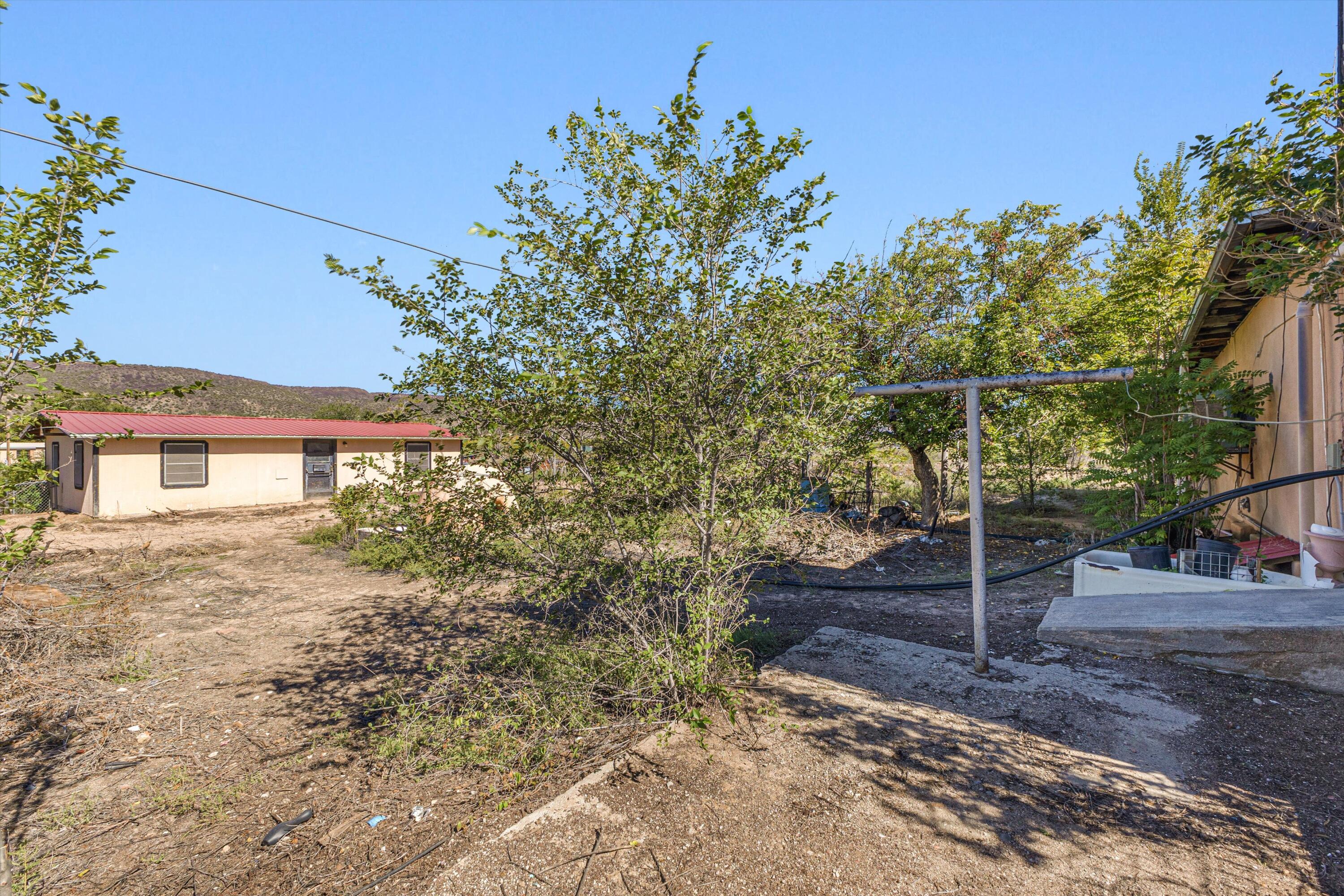 Photo 15 — 385 County Rd 41