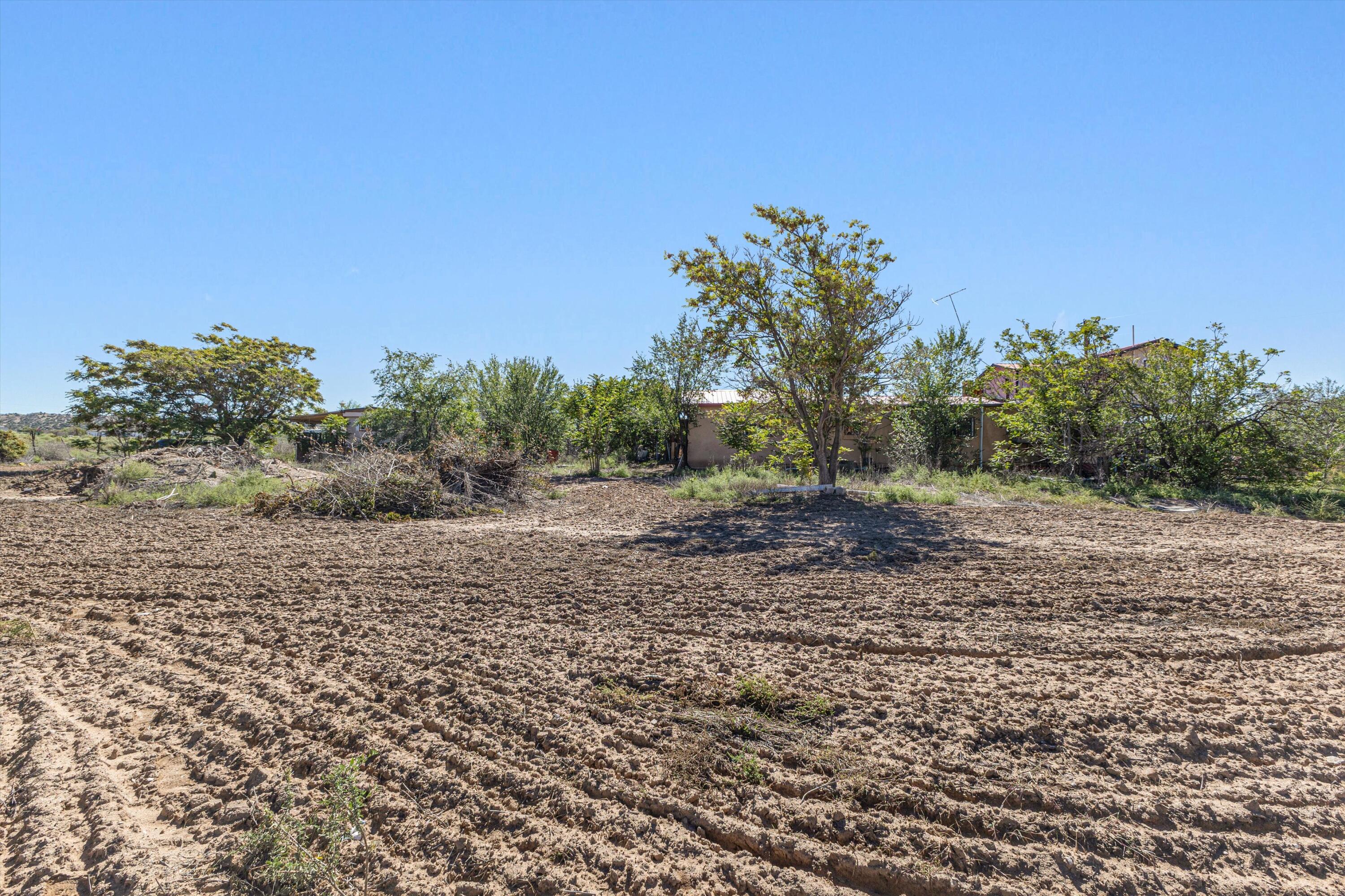 Photo 11 — 385 County Rd 41