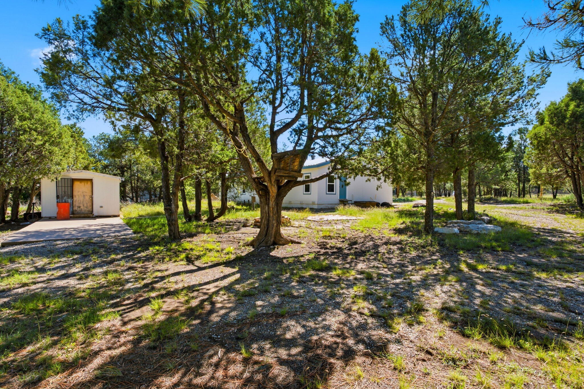 Photo 8 — 136 Holli Loop