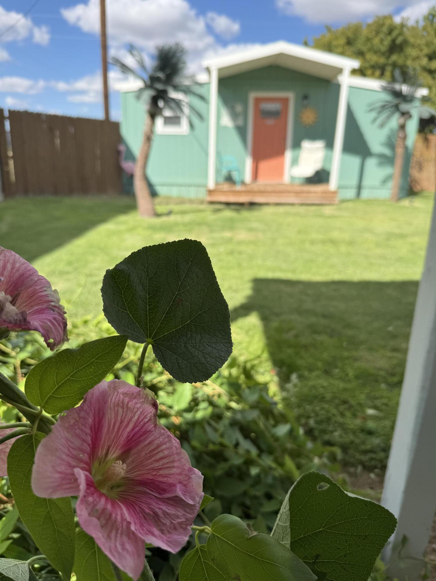 Photo 11 — 703 540 Loop Loop