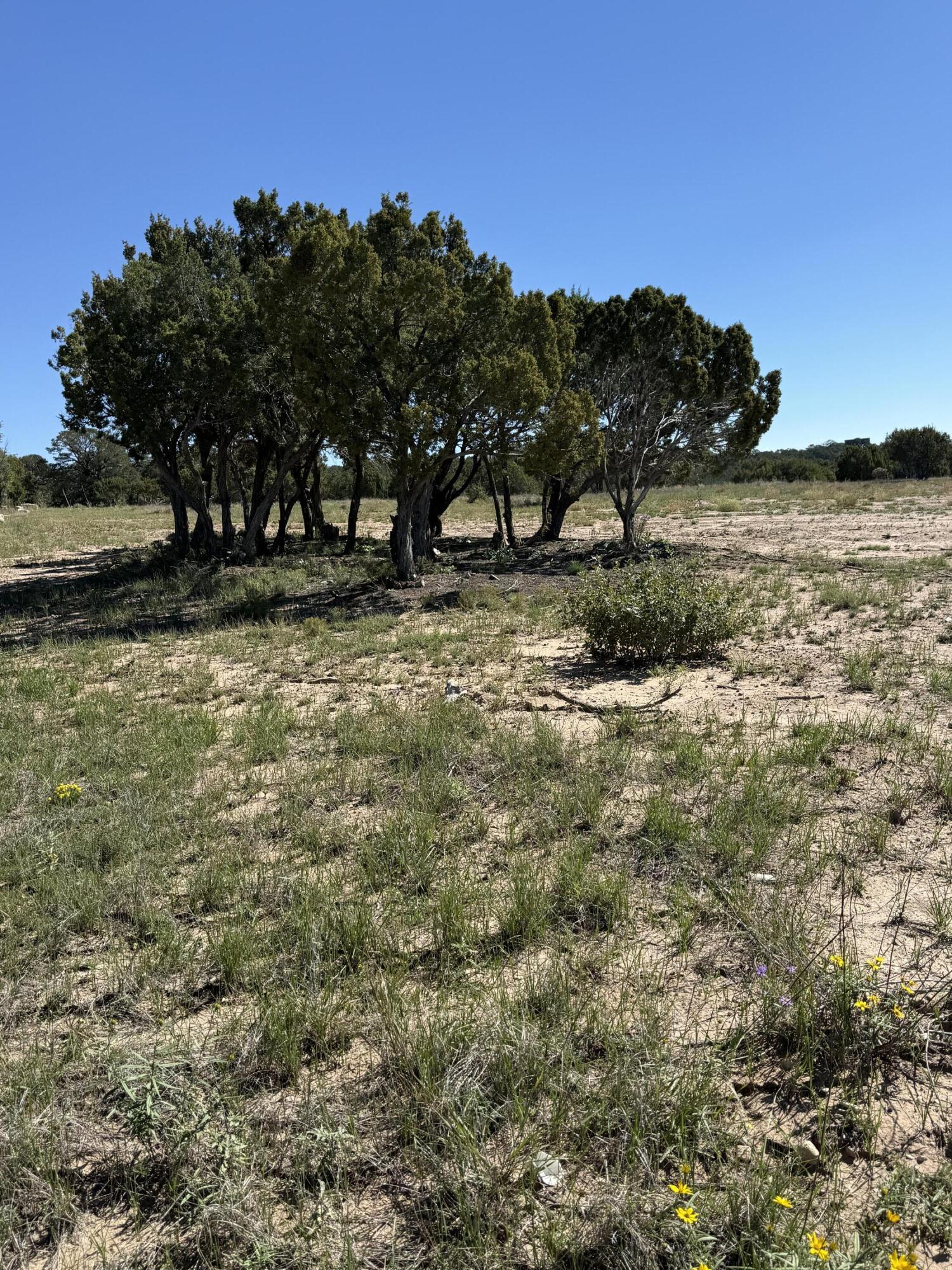Photo 3 — 6 Sedillo Hill Place